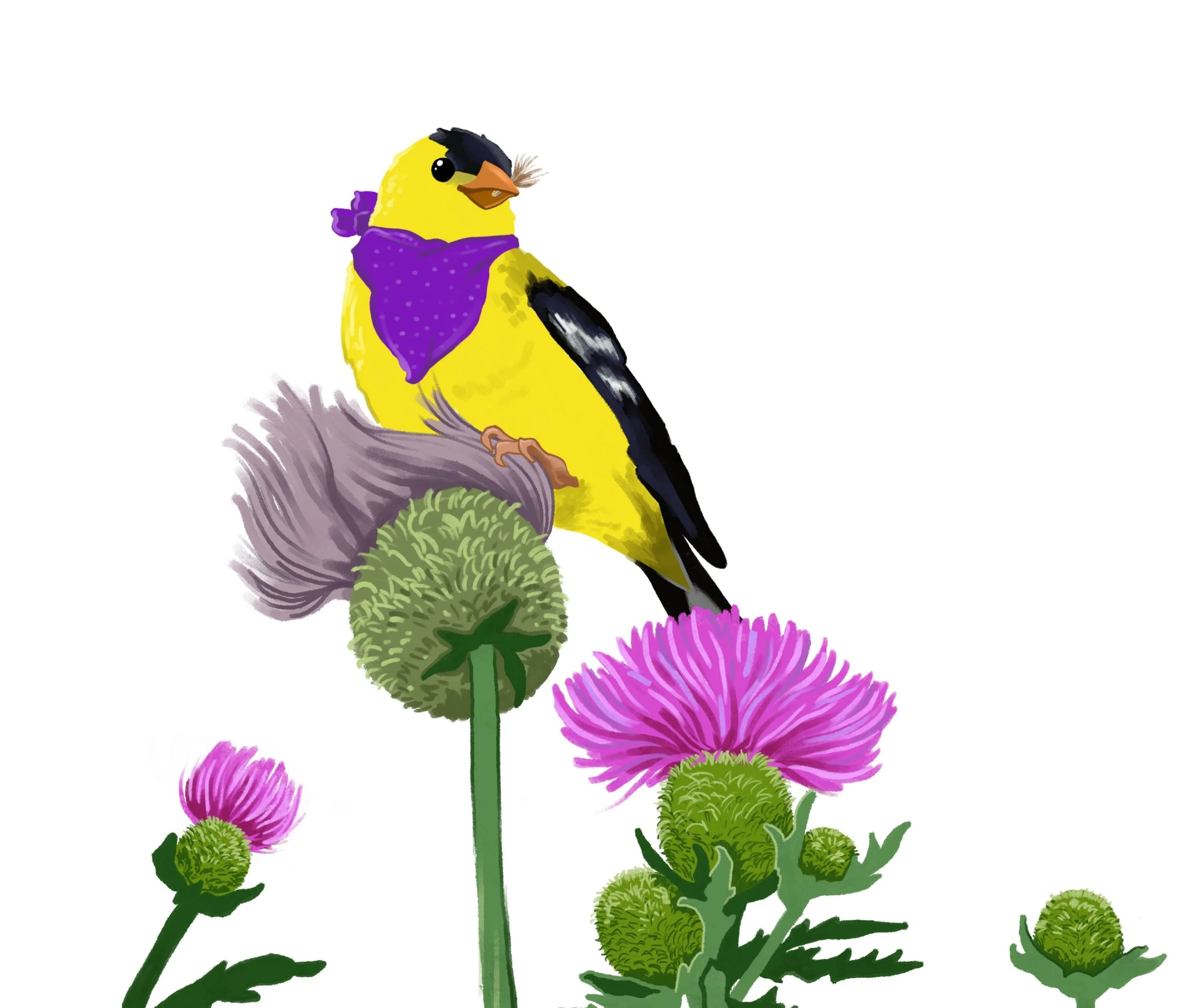 Abigail Silvis- Illustrations Class