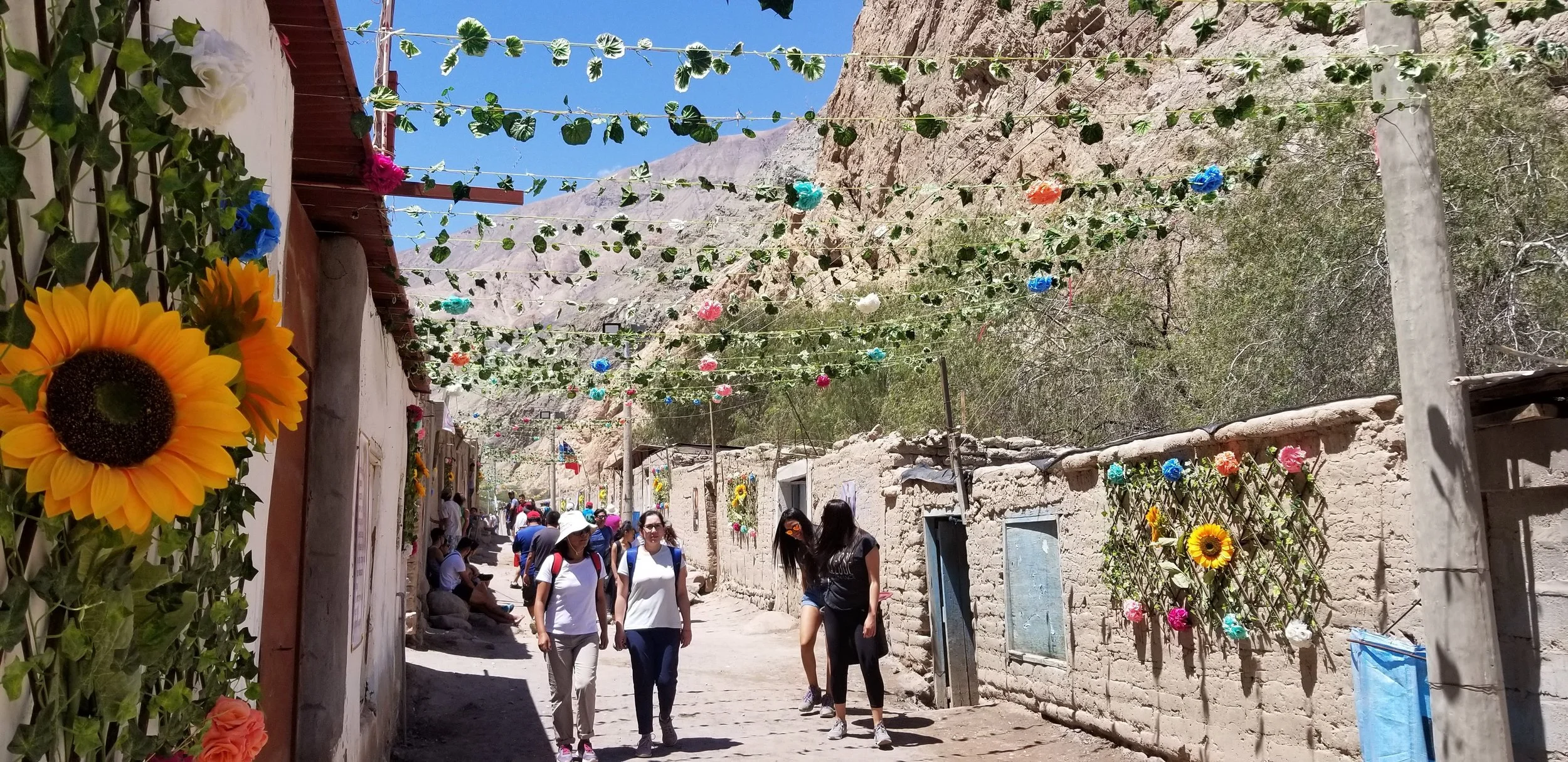 peñas 2019-10.jpg