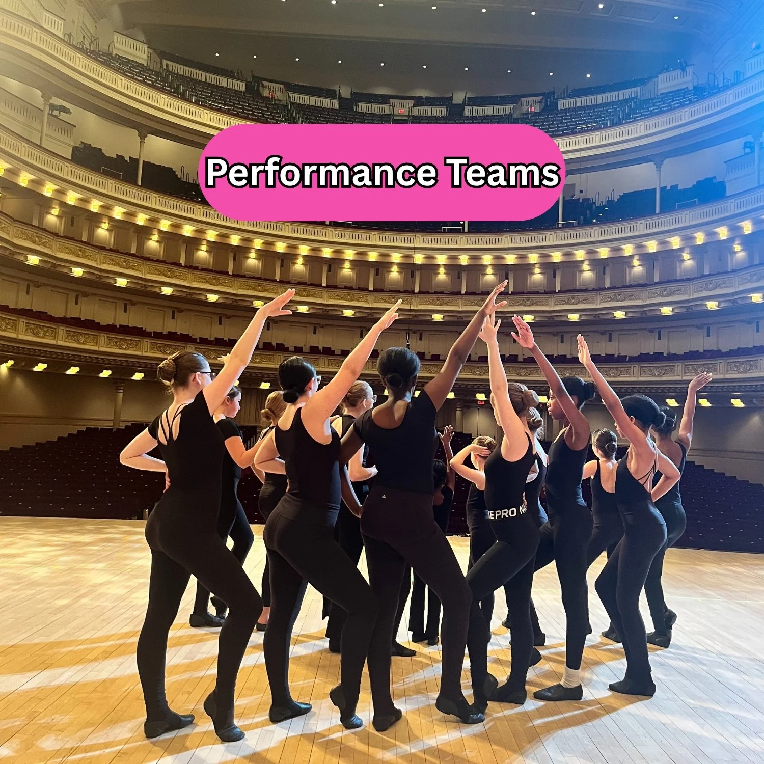 Performance Teams