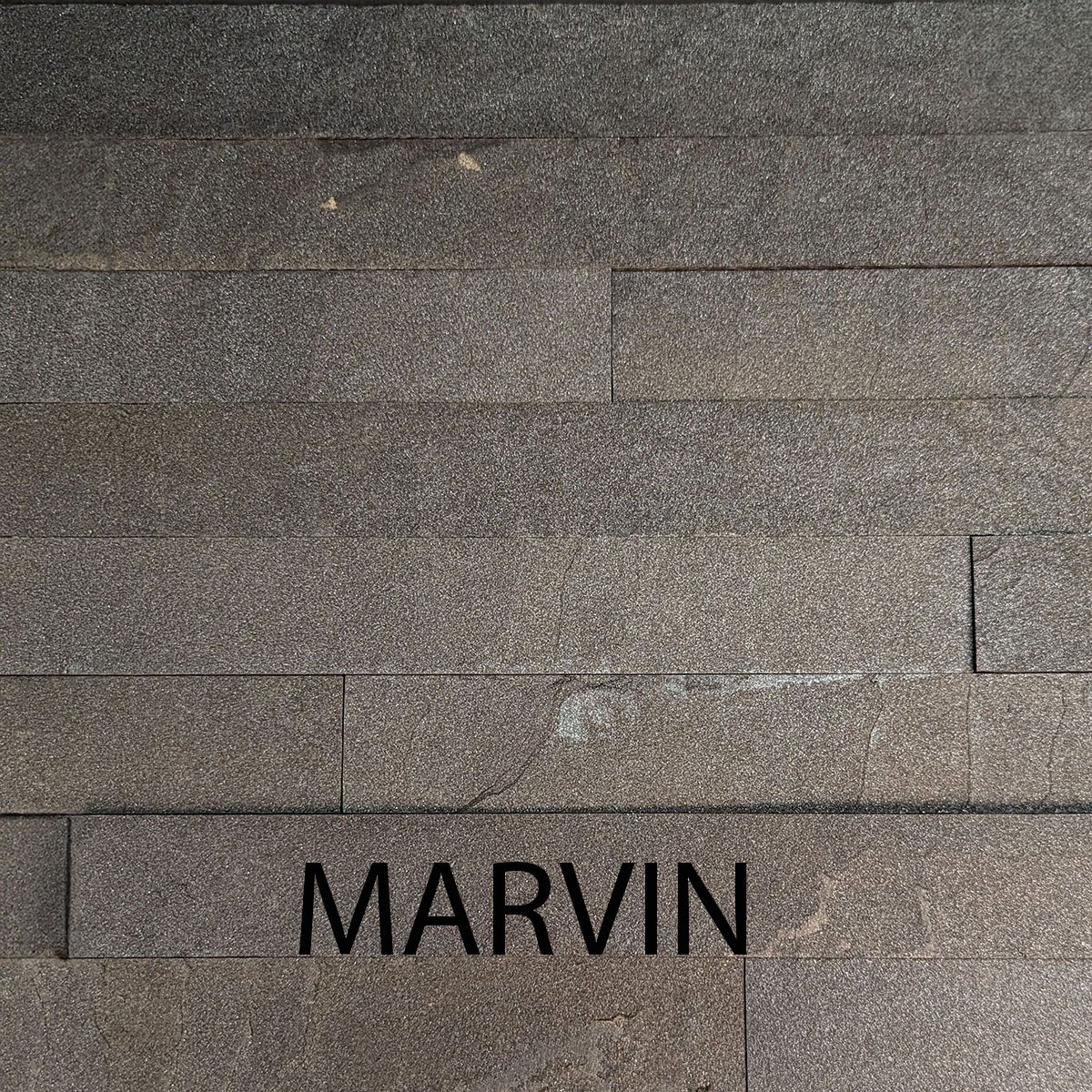 MARVIN copy.jpg