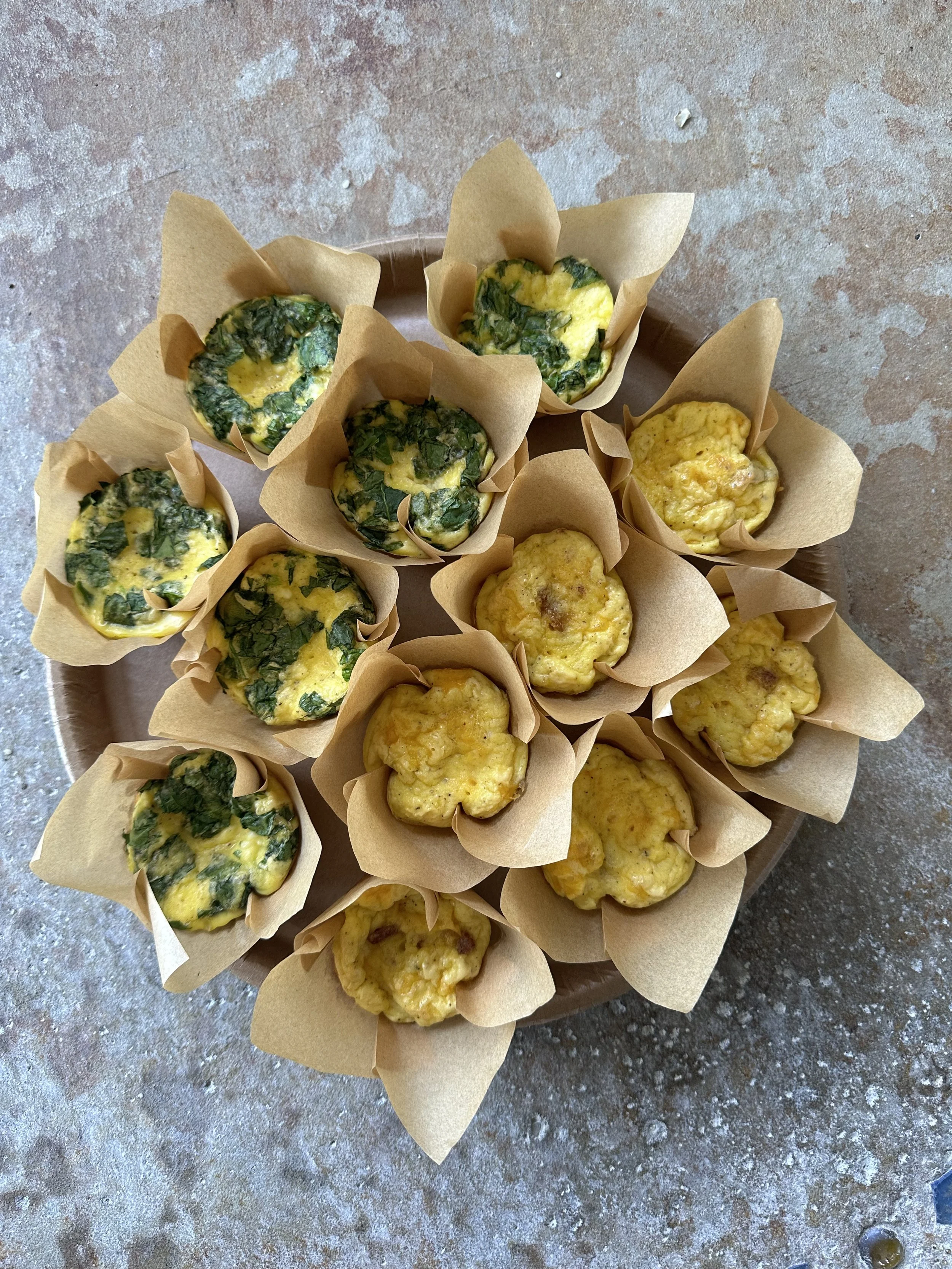 The Egg Bites