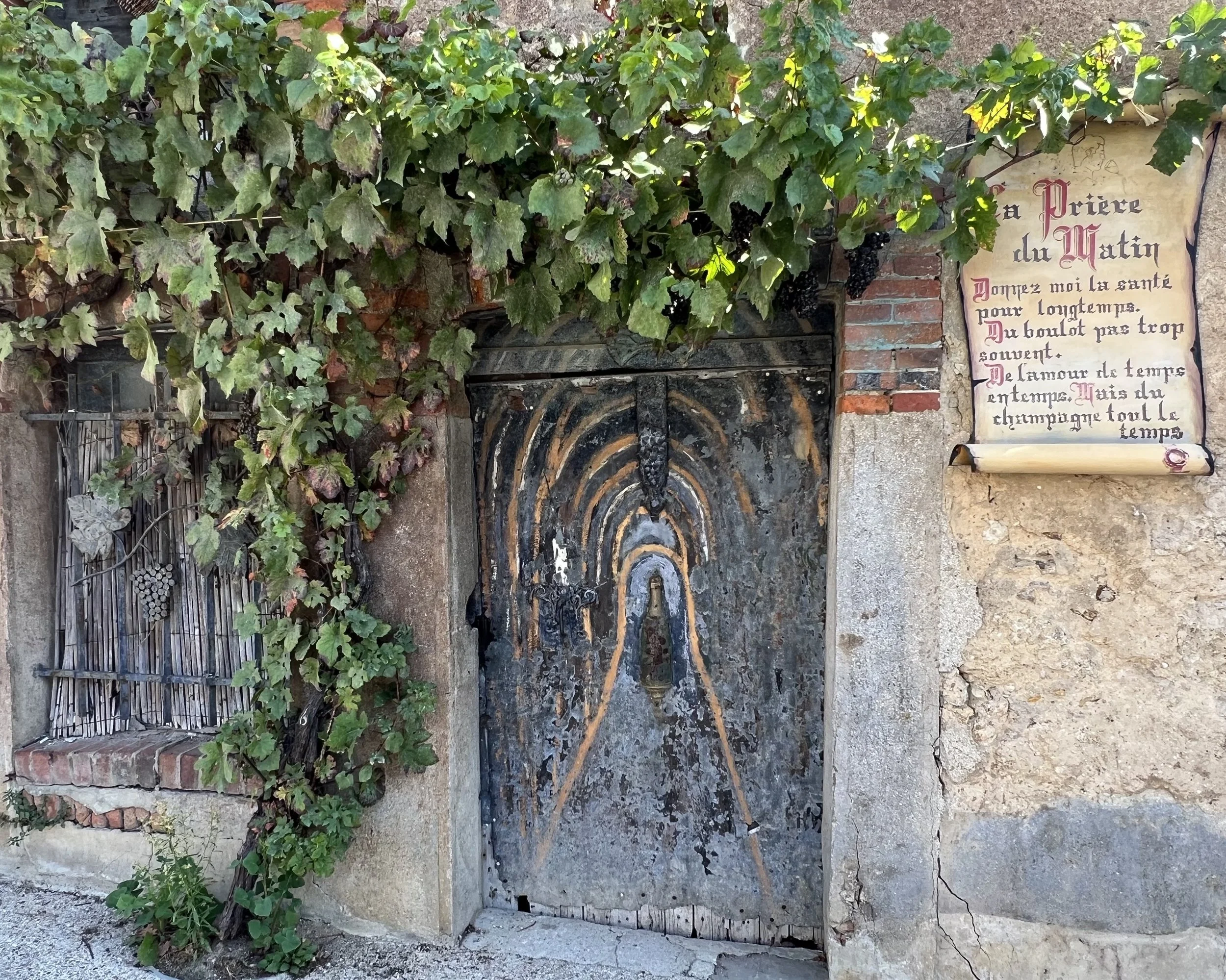 IMG_2022.jpeg
