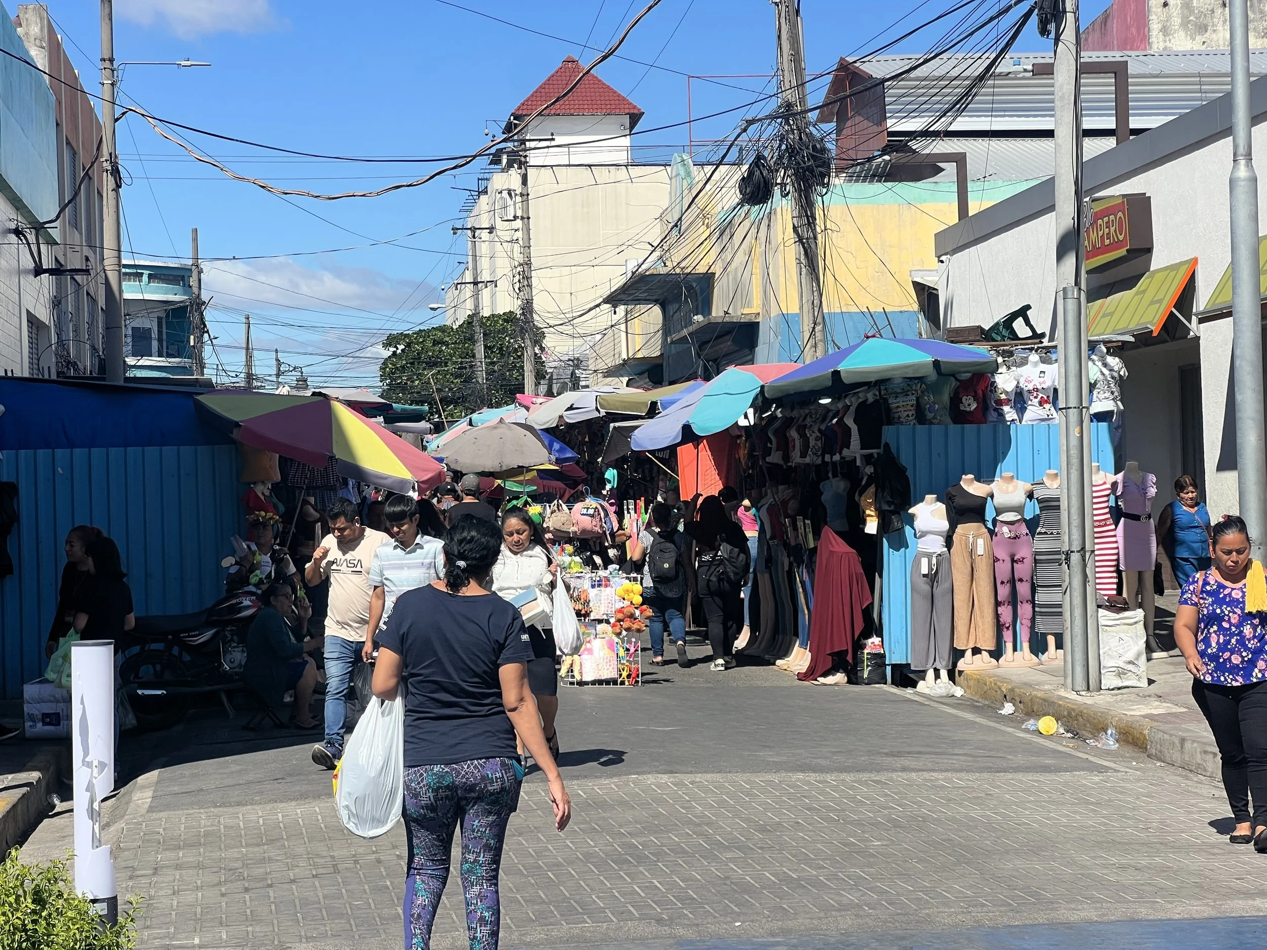 IMG_7263.jpeg