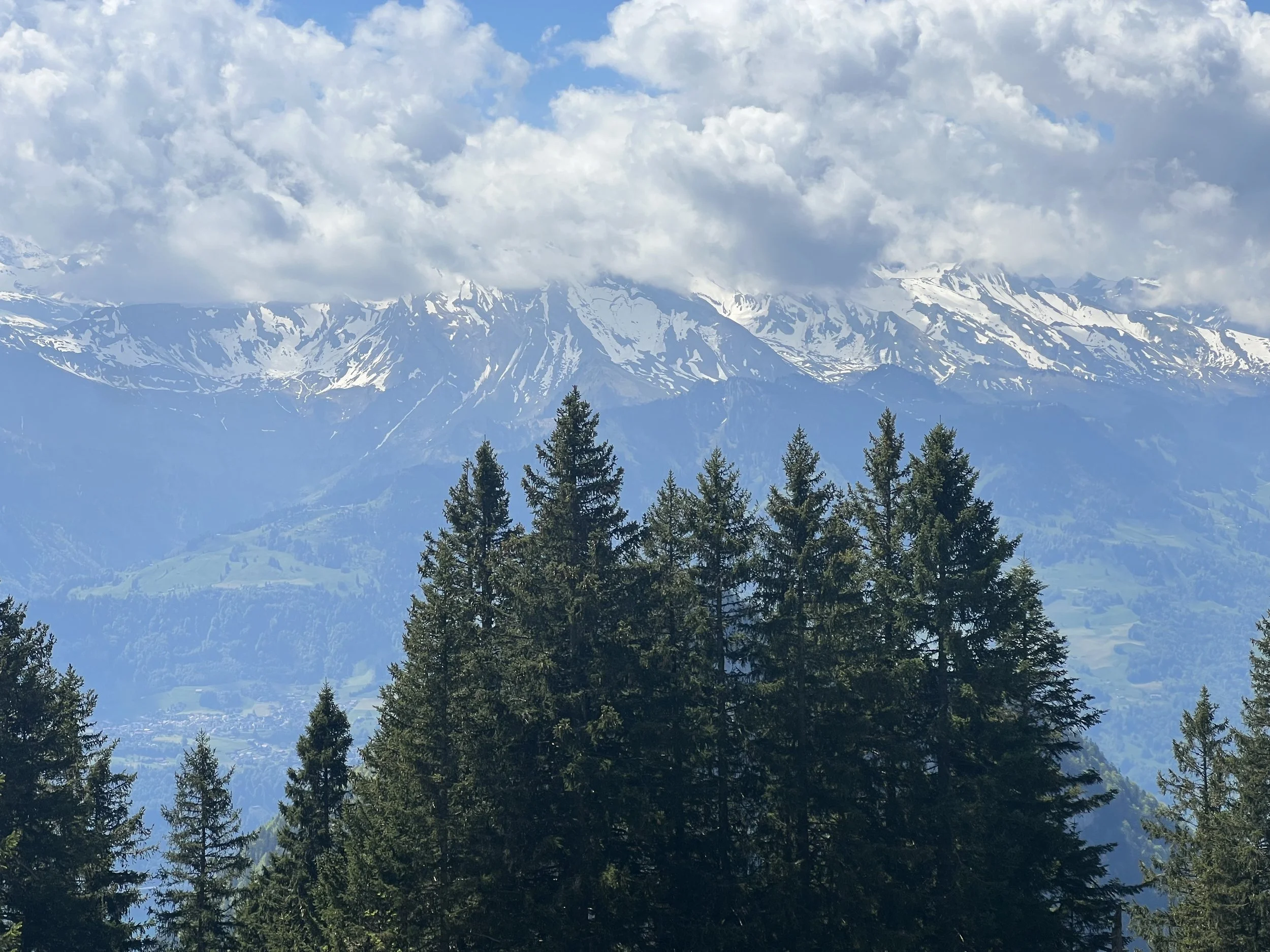 IMG_9049.jpeg