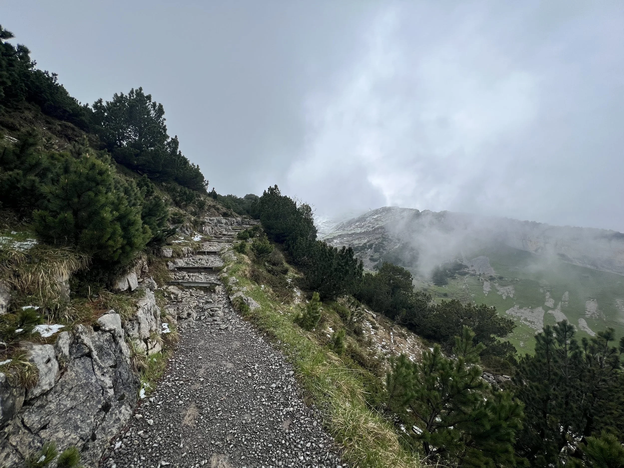IMG_9151.jpeg