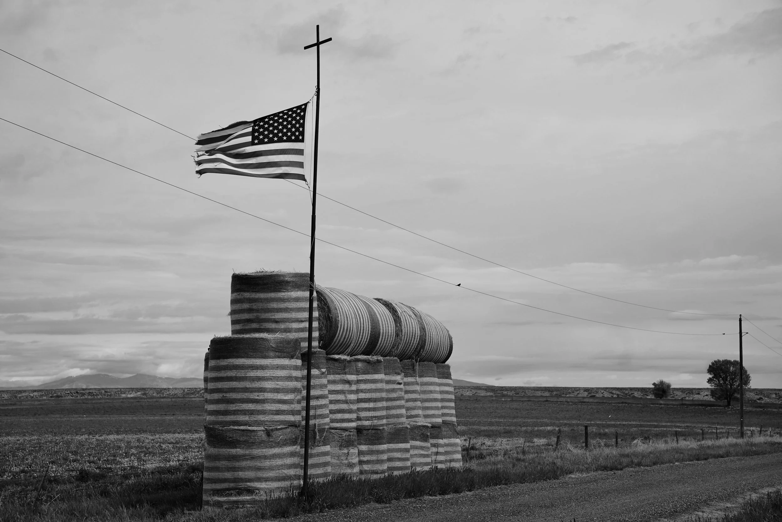 Crowheart_May 2025_DSC04229.JPG