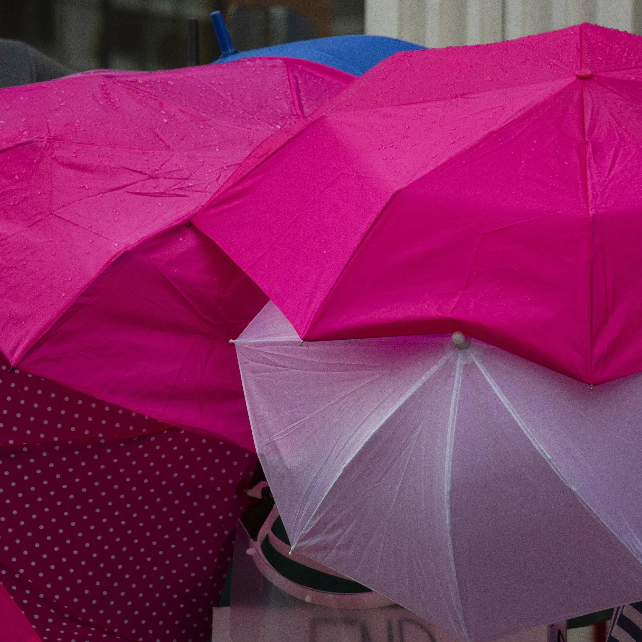 First of June 10.jpg