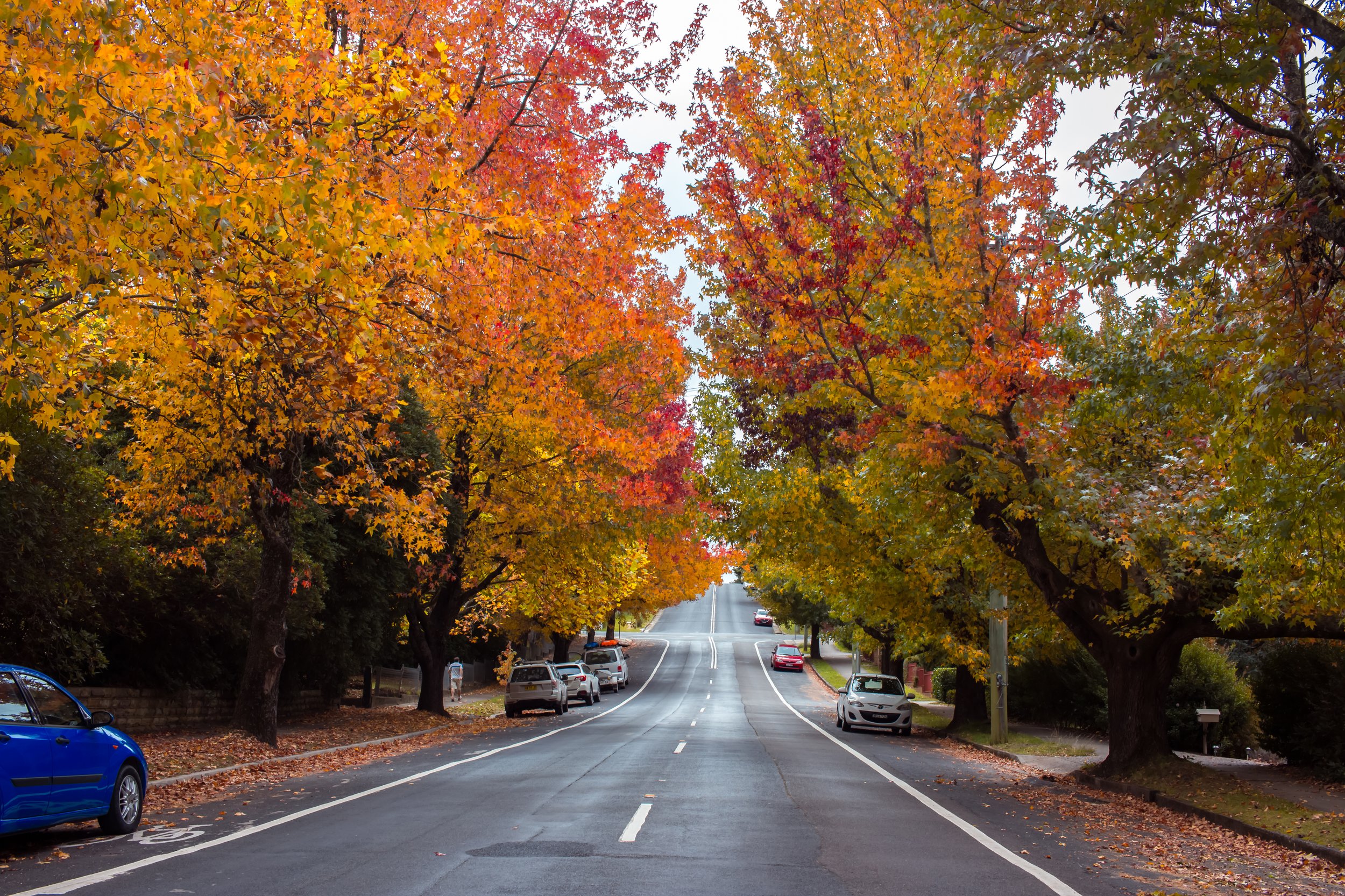 Sampson Street, Orange