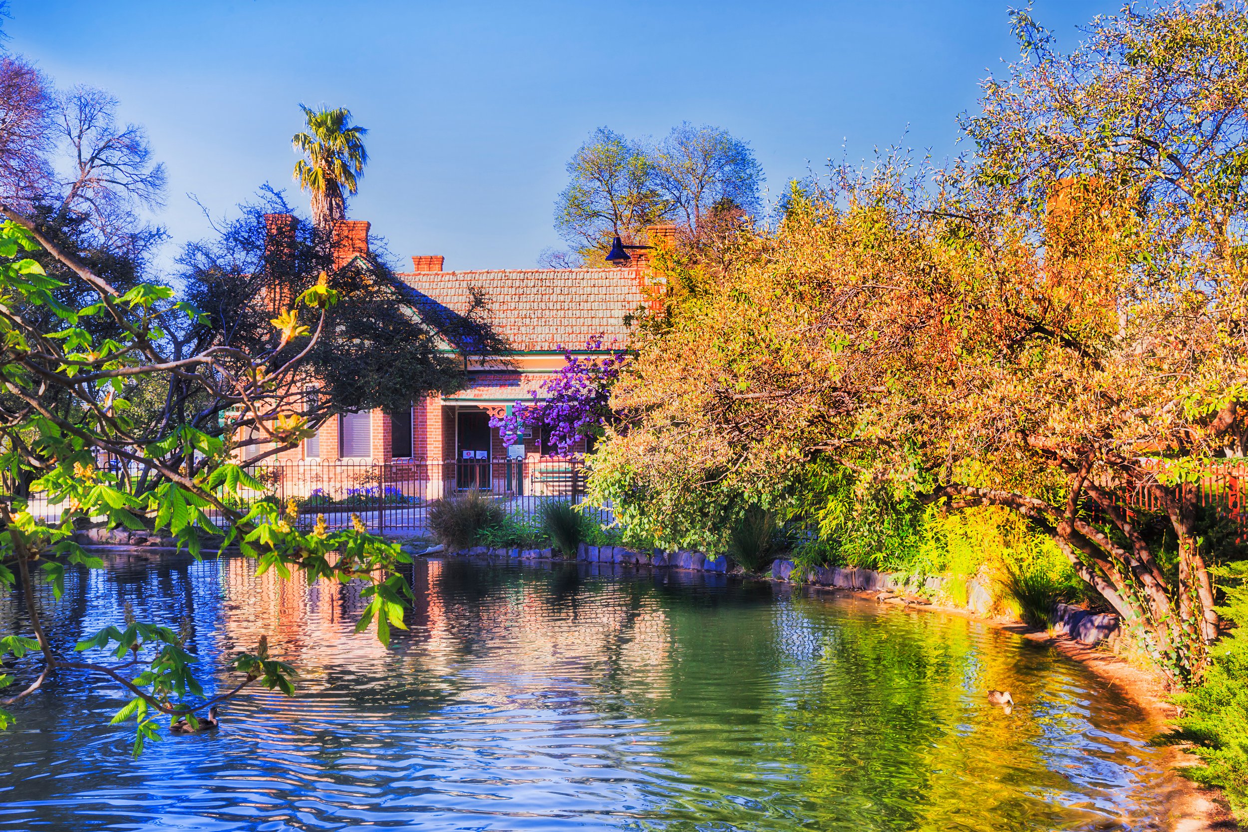 Machattie Park Pond, Bathurst