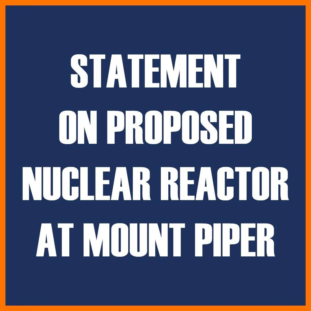 STATEMENT ON PROPOSED NUCLEAR REACTOR AT MOUNT PIPER POWER STATION