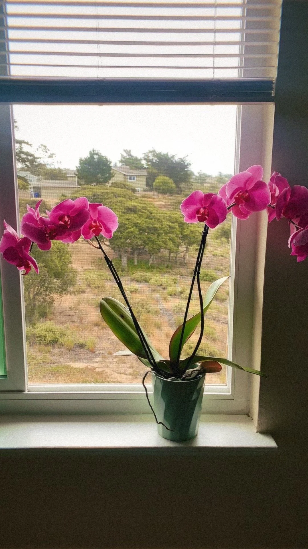 01JXWRMKM69Q092279TPH1PY0R-low-res-branded- 2.JPEG