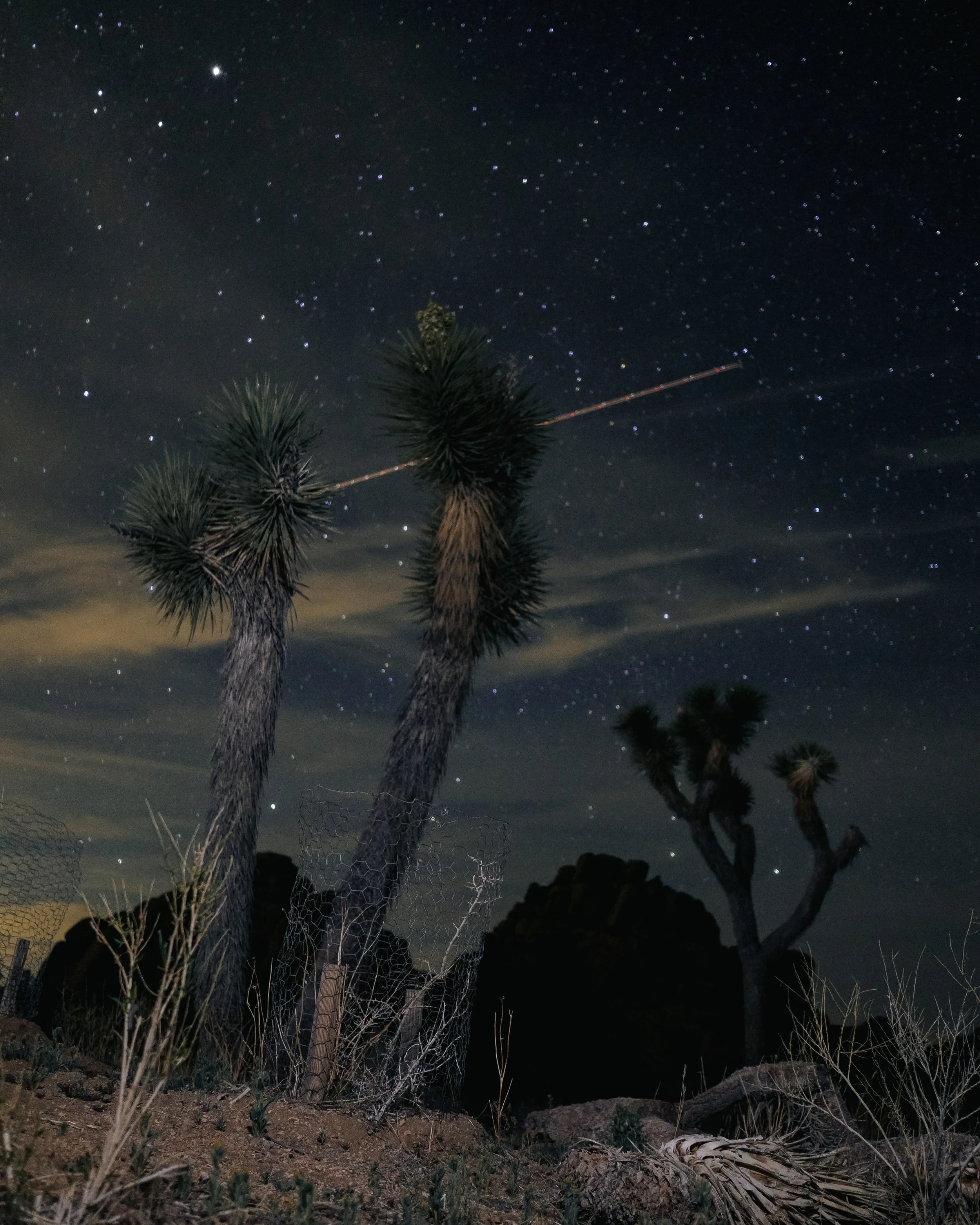 Retreat to basecamp: Spring 2022 campaign 