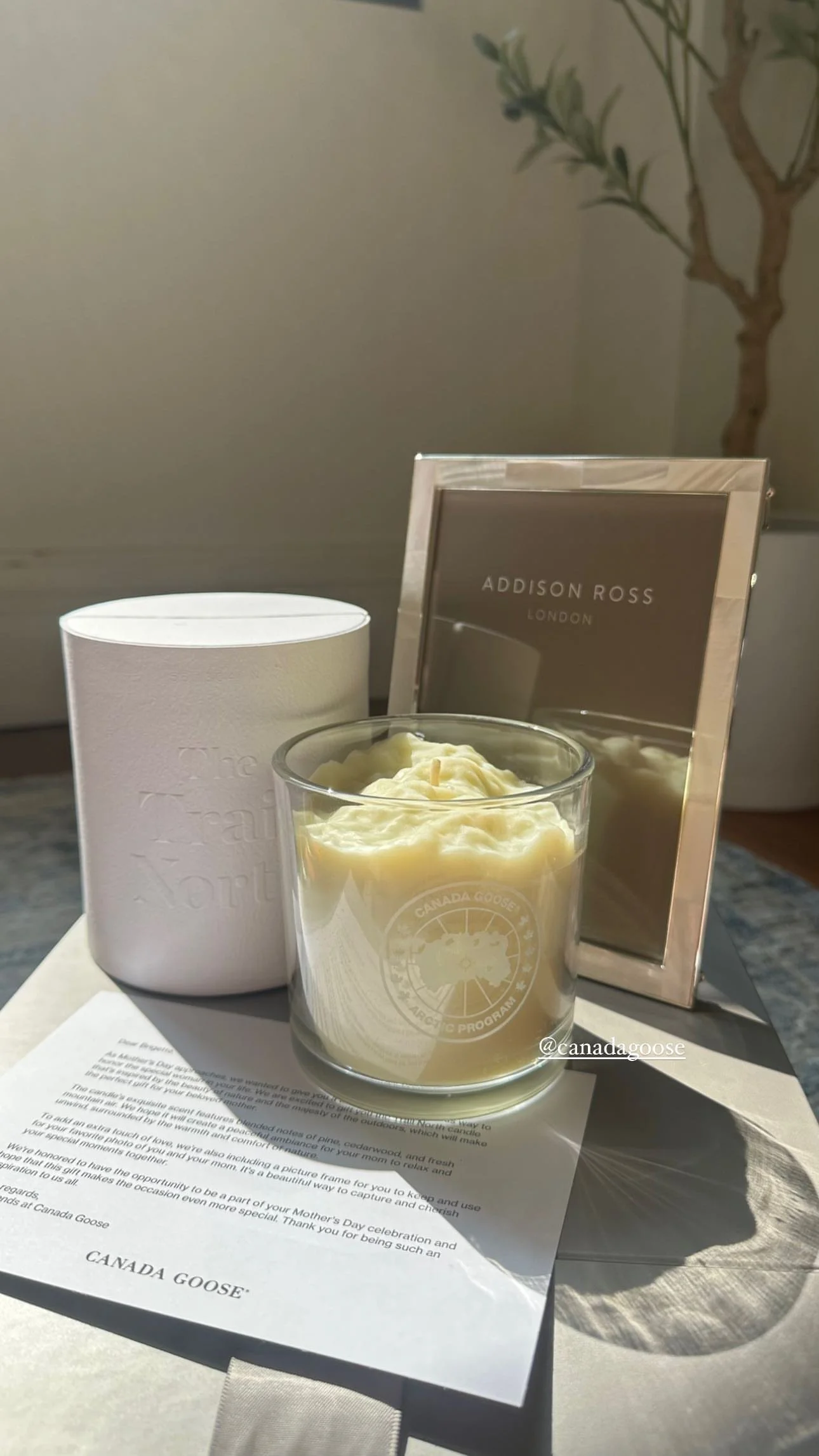 Mother's & Father's Day Seeding