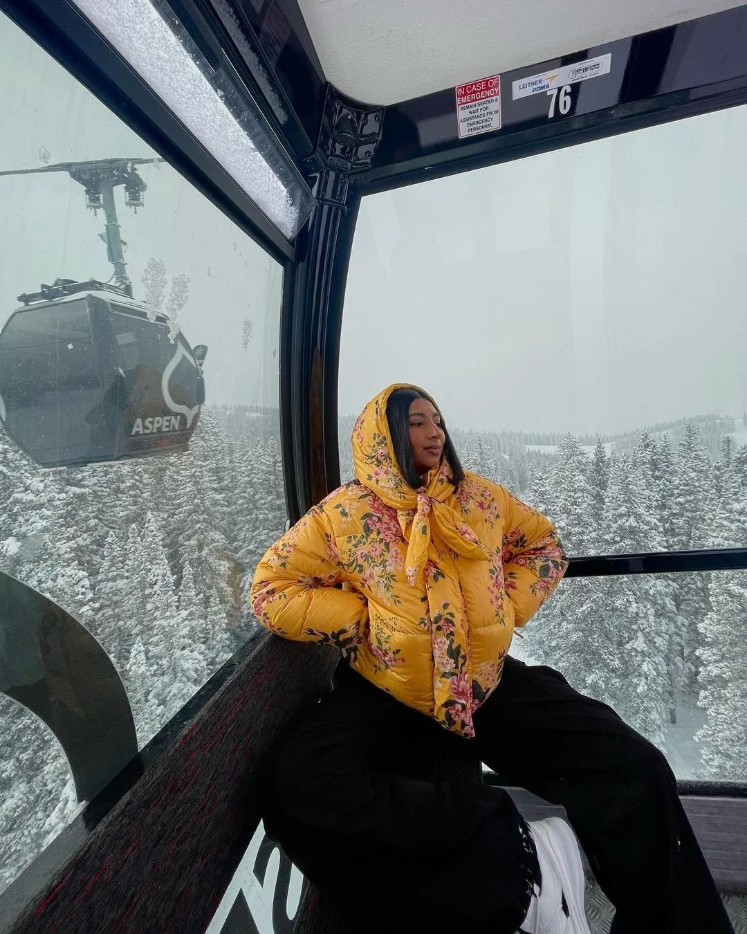 Canada Goose x Reformation