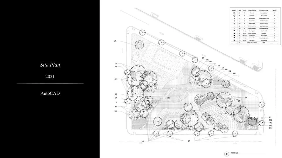 Delaney Accomando Portfolio (5).jpg