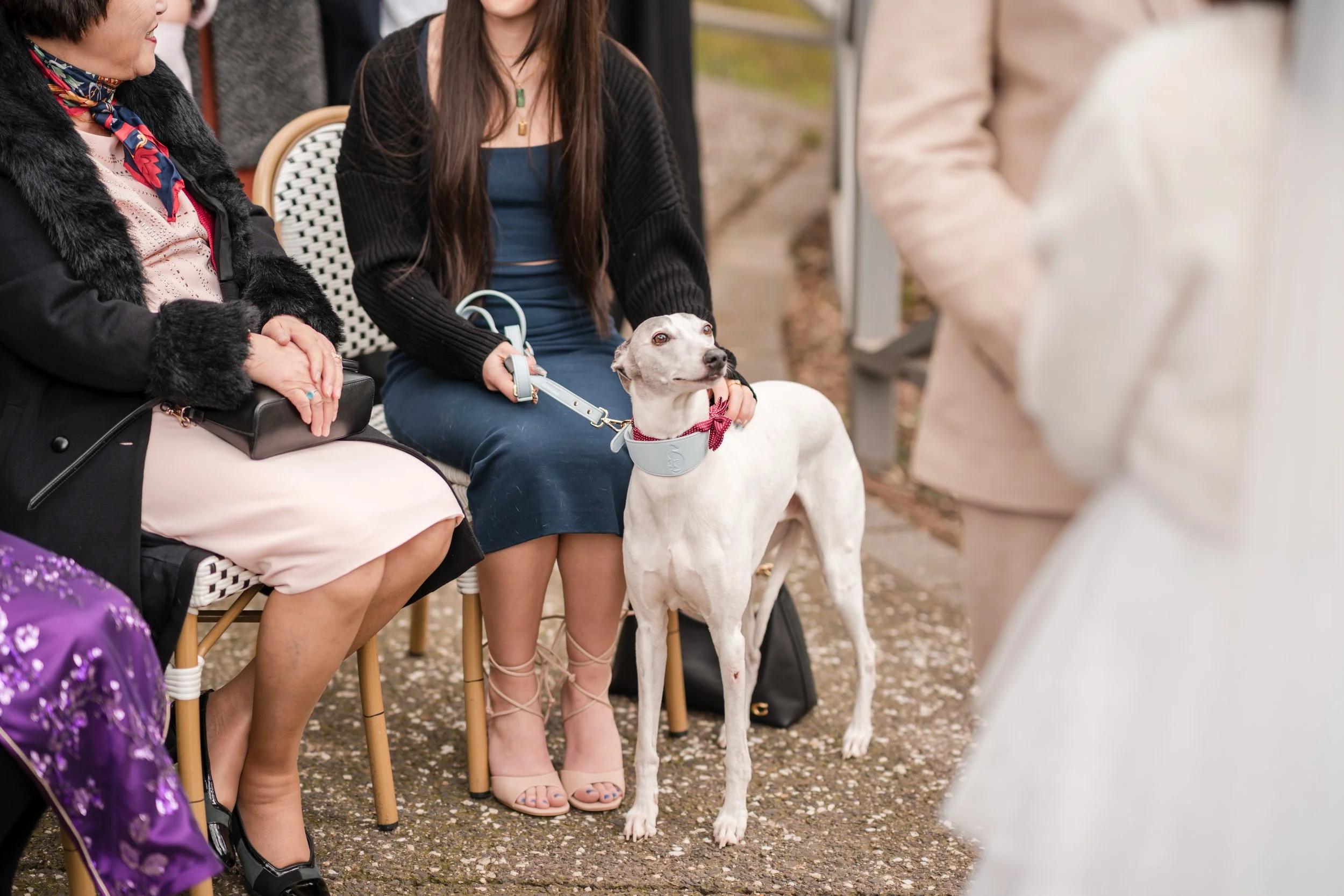 W&FW(SP)-06.07.25-5.jpg
