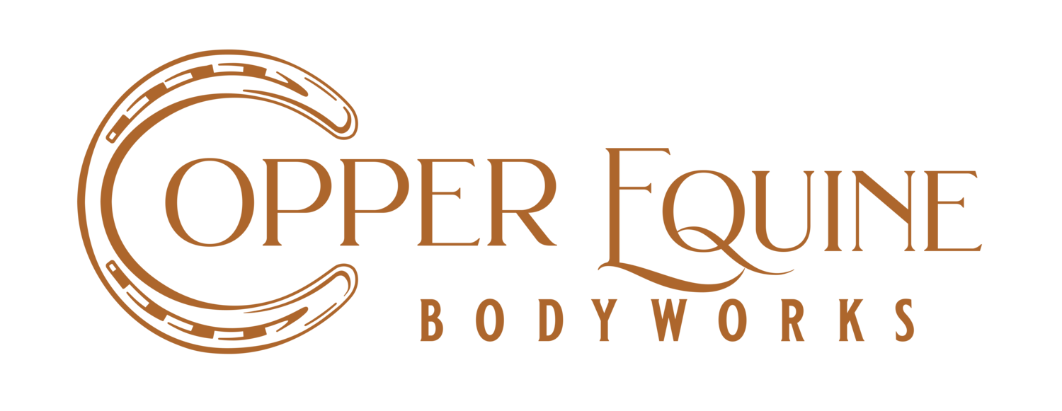 Copper Equine Bodyworks