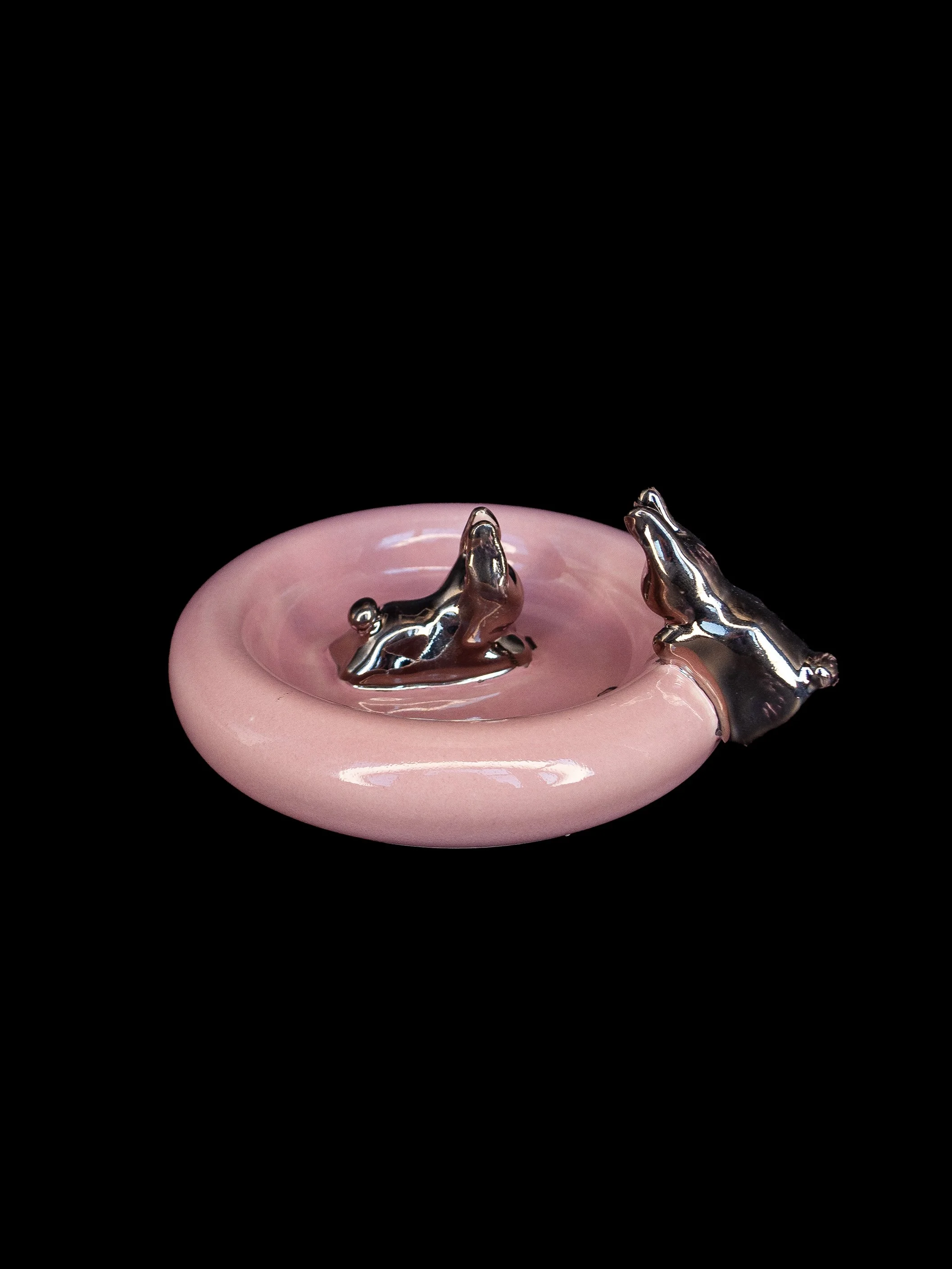 bunnydish_03.jpg