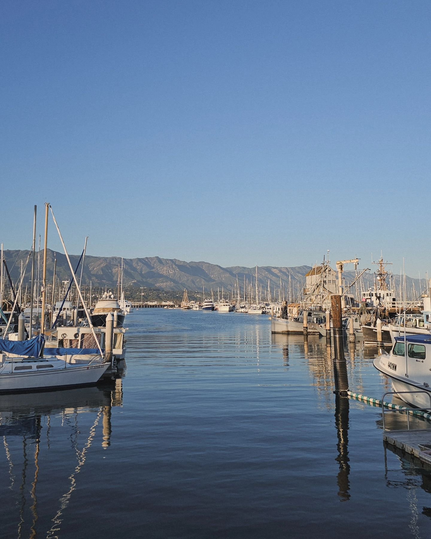 still mornings at the harbor and november still spoiling us in santa barbara... I heard it's raining all weekend so savoring blue skies while they last ⛵️