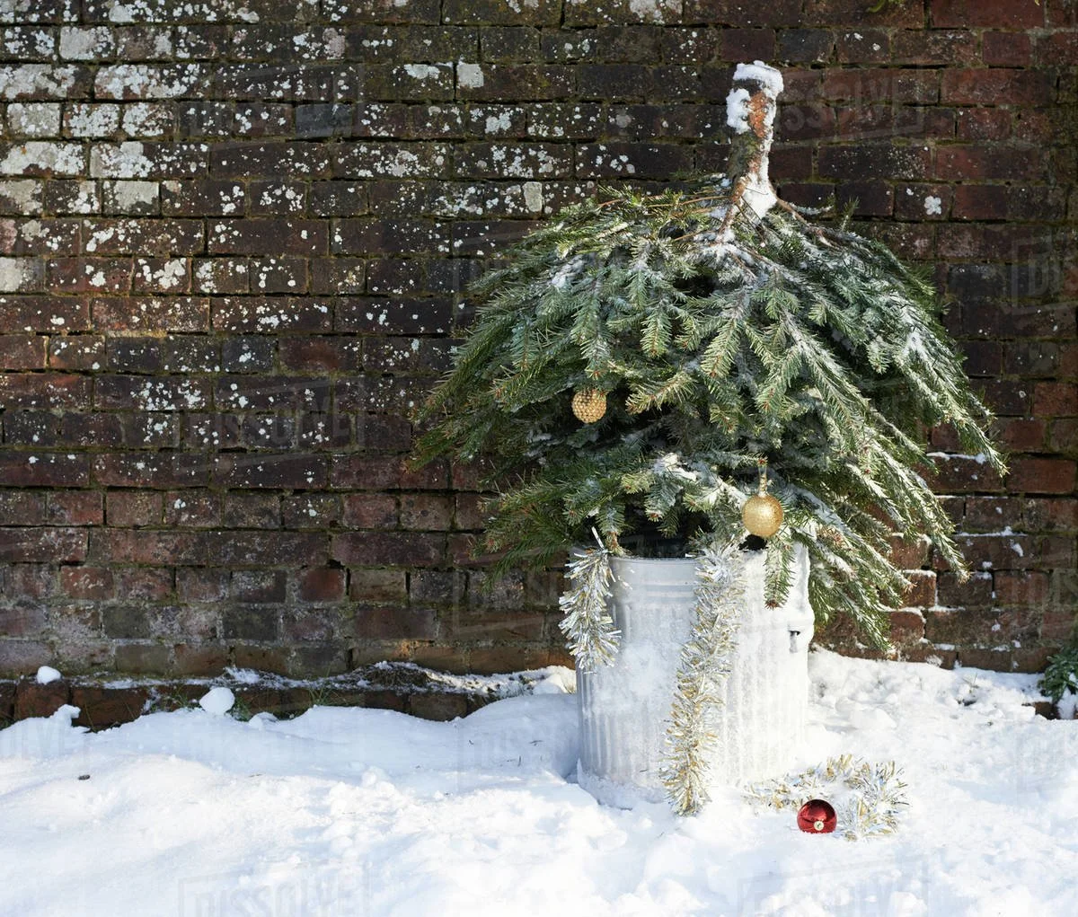 A Christmas Prince: The Royal Wedding
