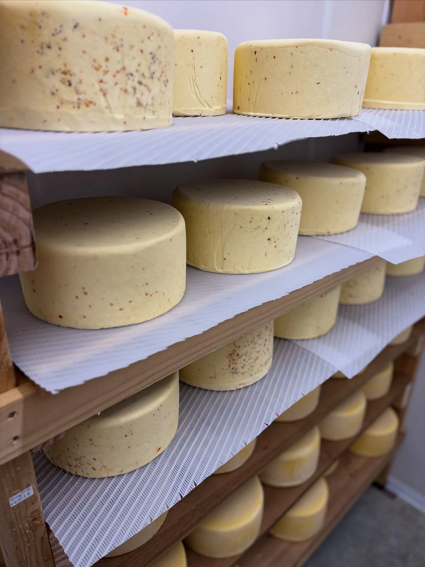 Batch# 123125
~Spicy Filomena~
New Years Eve Cheese

#2025 #rawmilkcheese #spicy #filomena