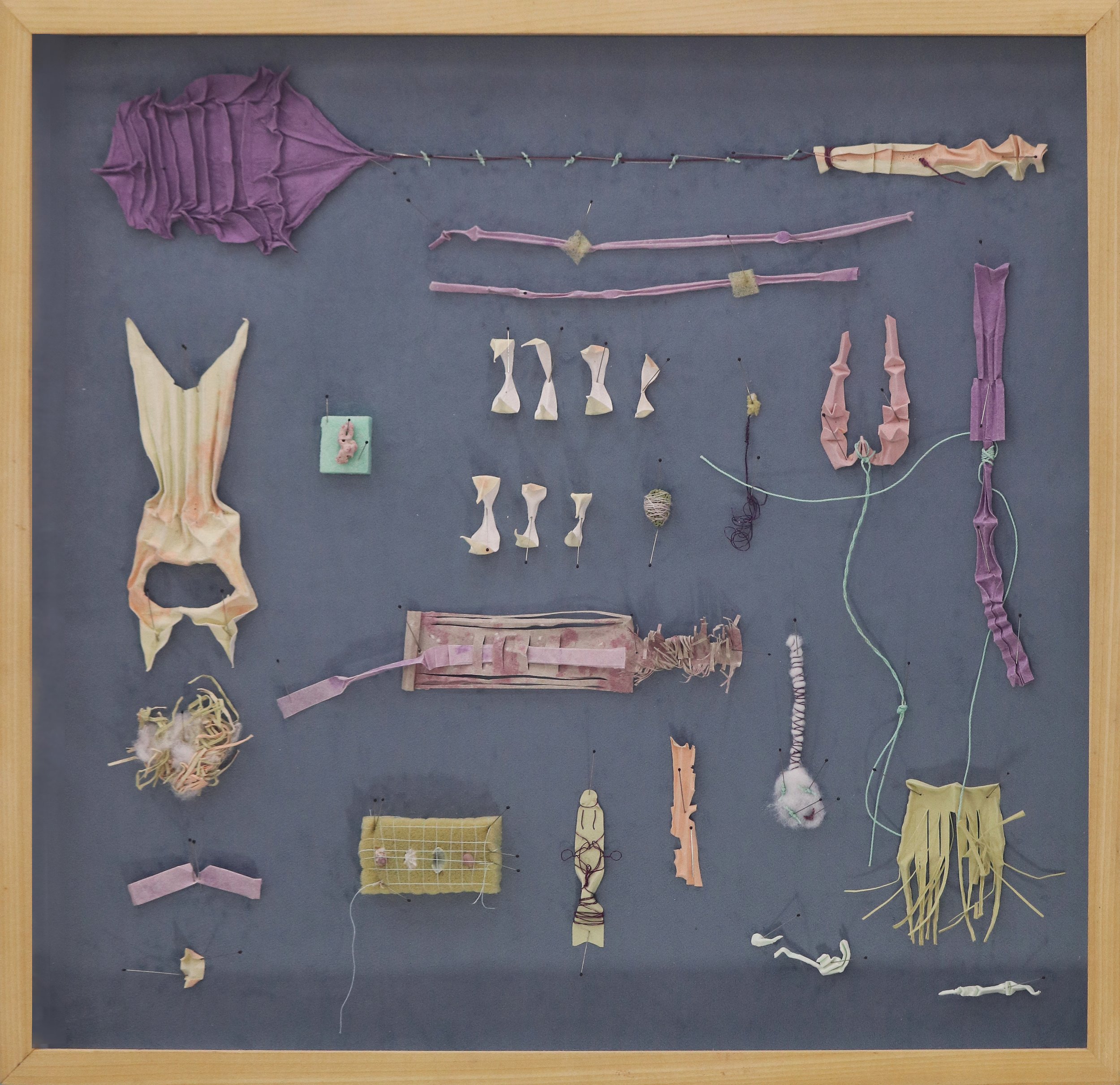 Problematicae
Handmade abaca, cotton folded paper sculptures, waxed thread, wire, hand dyed foam, foam batting, sewing thread, sea shells, painted sea sponge, monotype, insect pins, velvet fabric, handmade poplar frame
20"x24"
2025