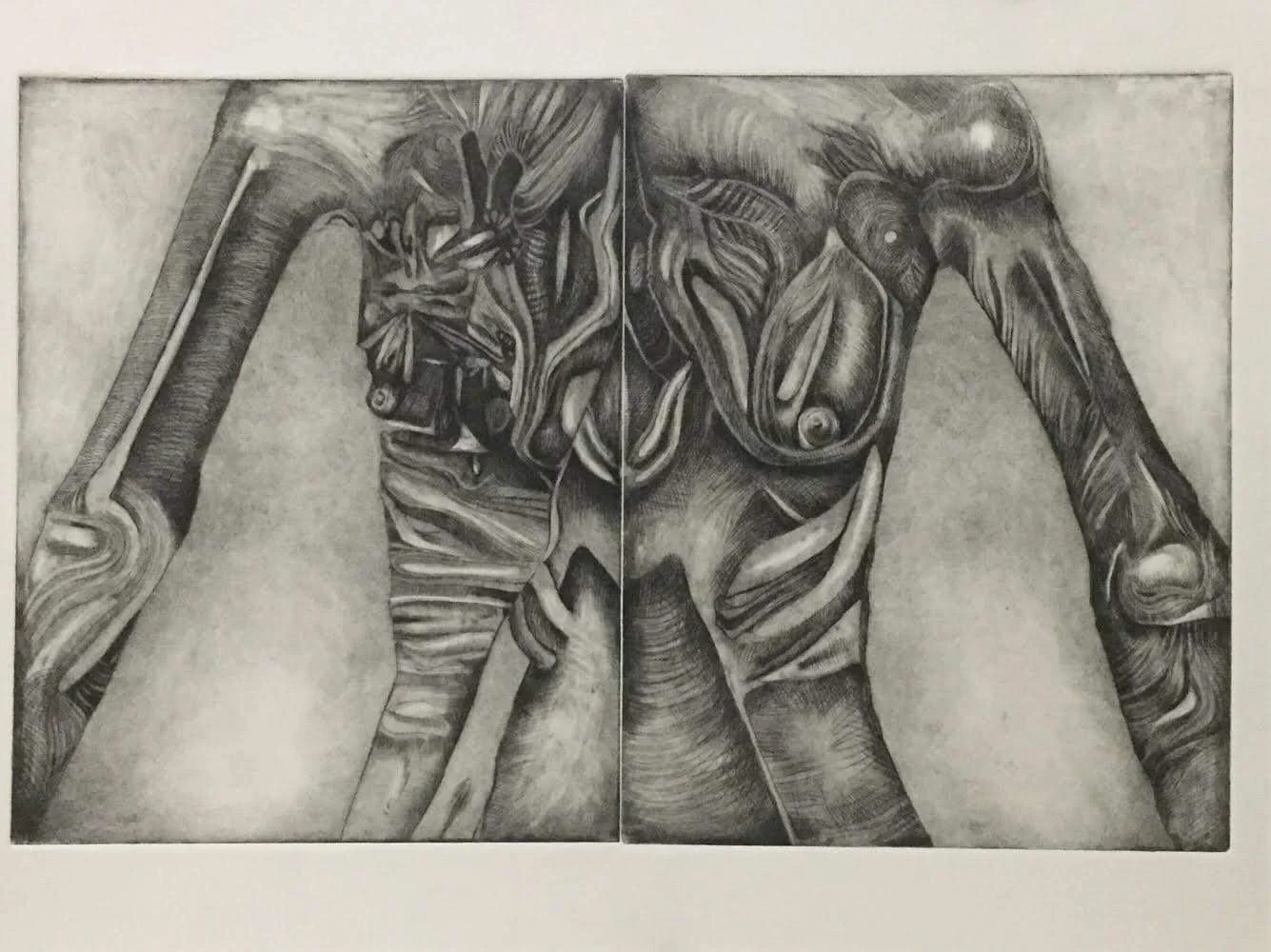 "Placas 1"
Drypoint
9"x24"
2016