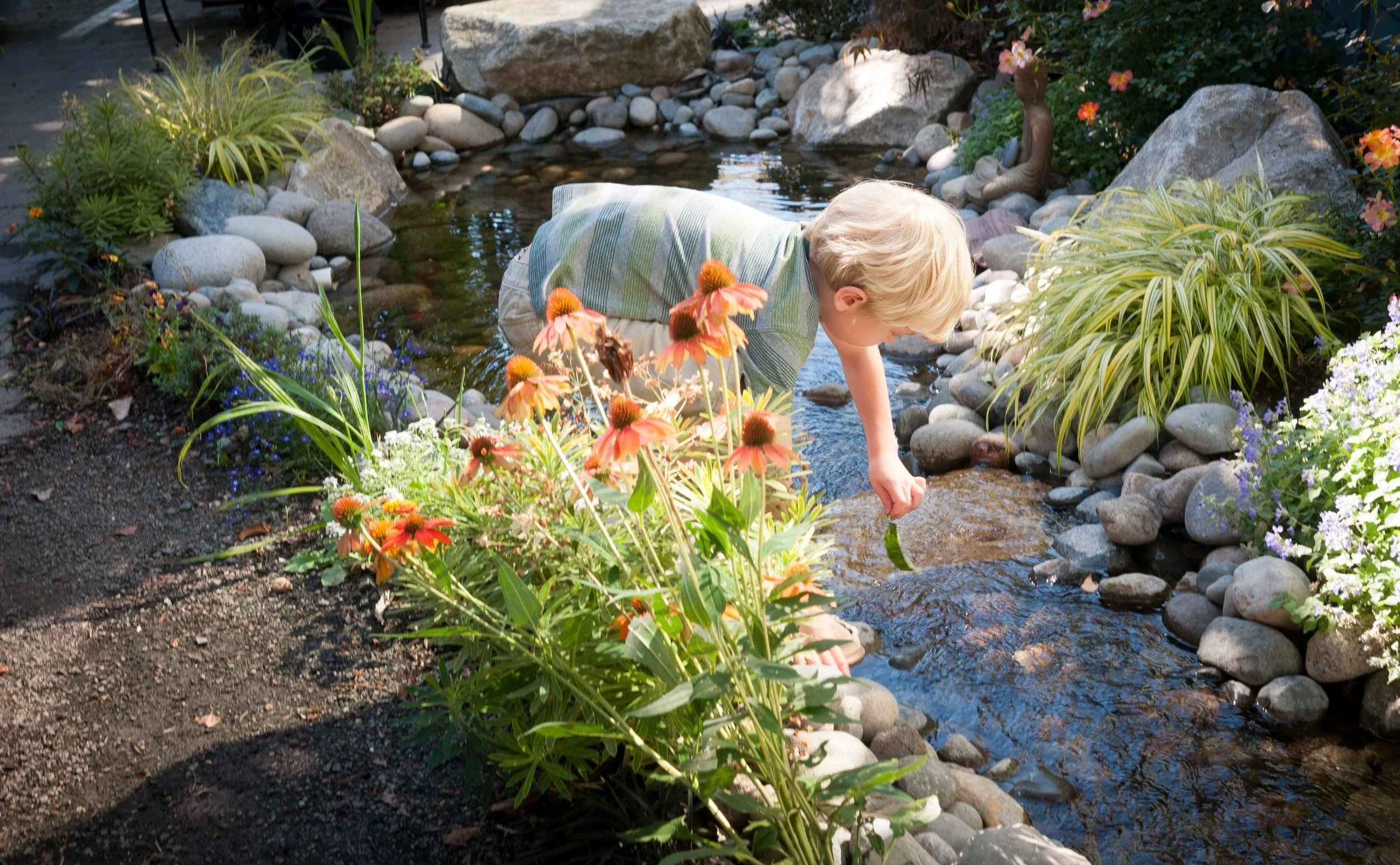 A young boy with blonde hair is leaning over a small garden pond, gently touching the water with his hand. The pond is surrounded by rocks and various plants, including orange coneflowers and ornamental grasses. There is a small Buddha statue and colorful flowers nearby, creating a peaceful garden scene.