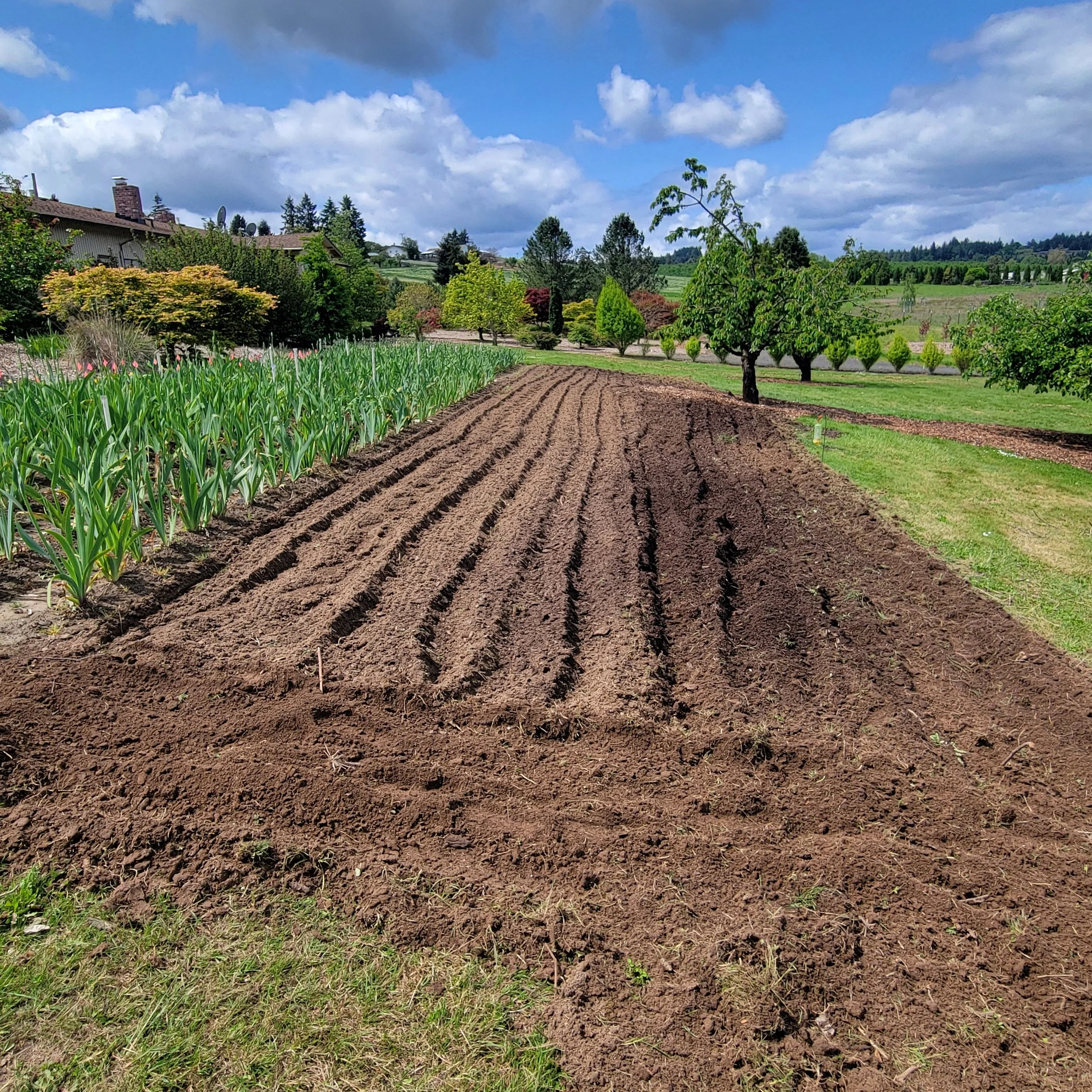 Flora Wonder Field Part 2