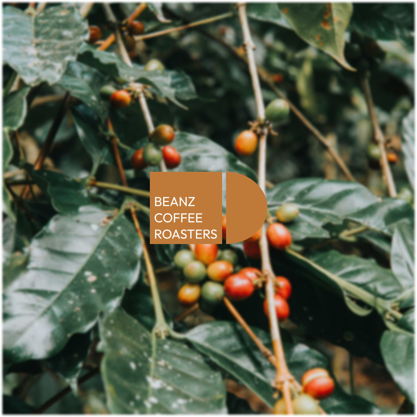 Coffee Subscription Site