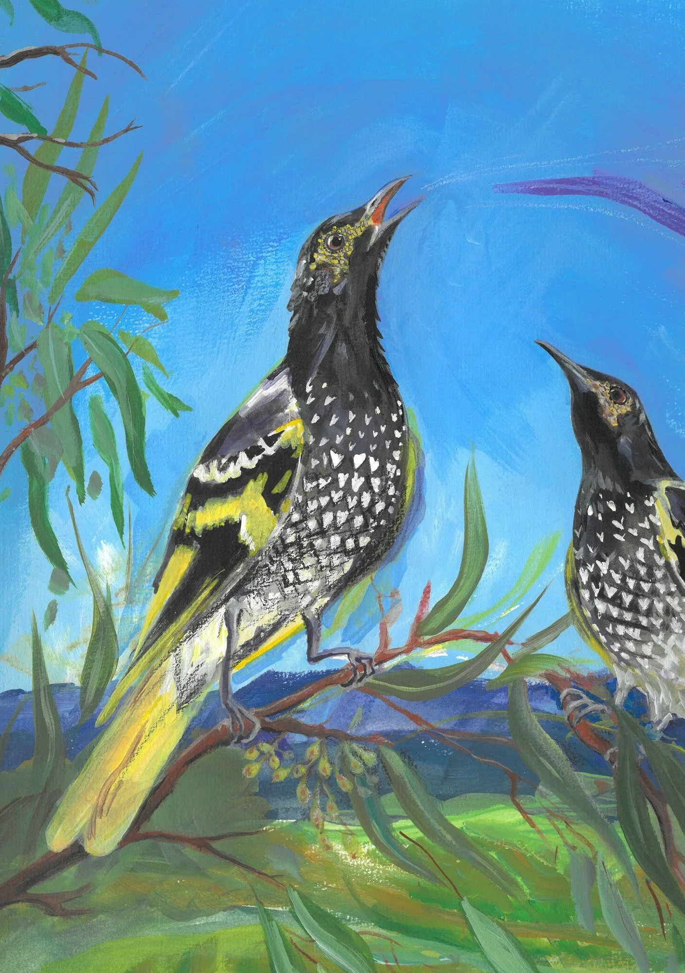 A close up detail from a painting of two Regent Honeyeater Birds sitting on a Eucalyptus tree branch overlooking a view of mountains.