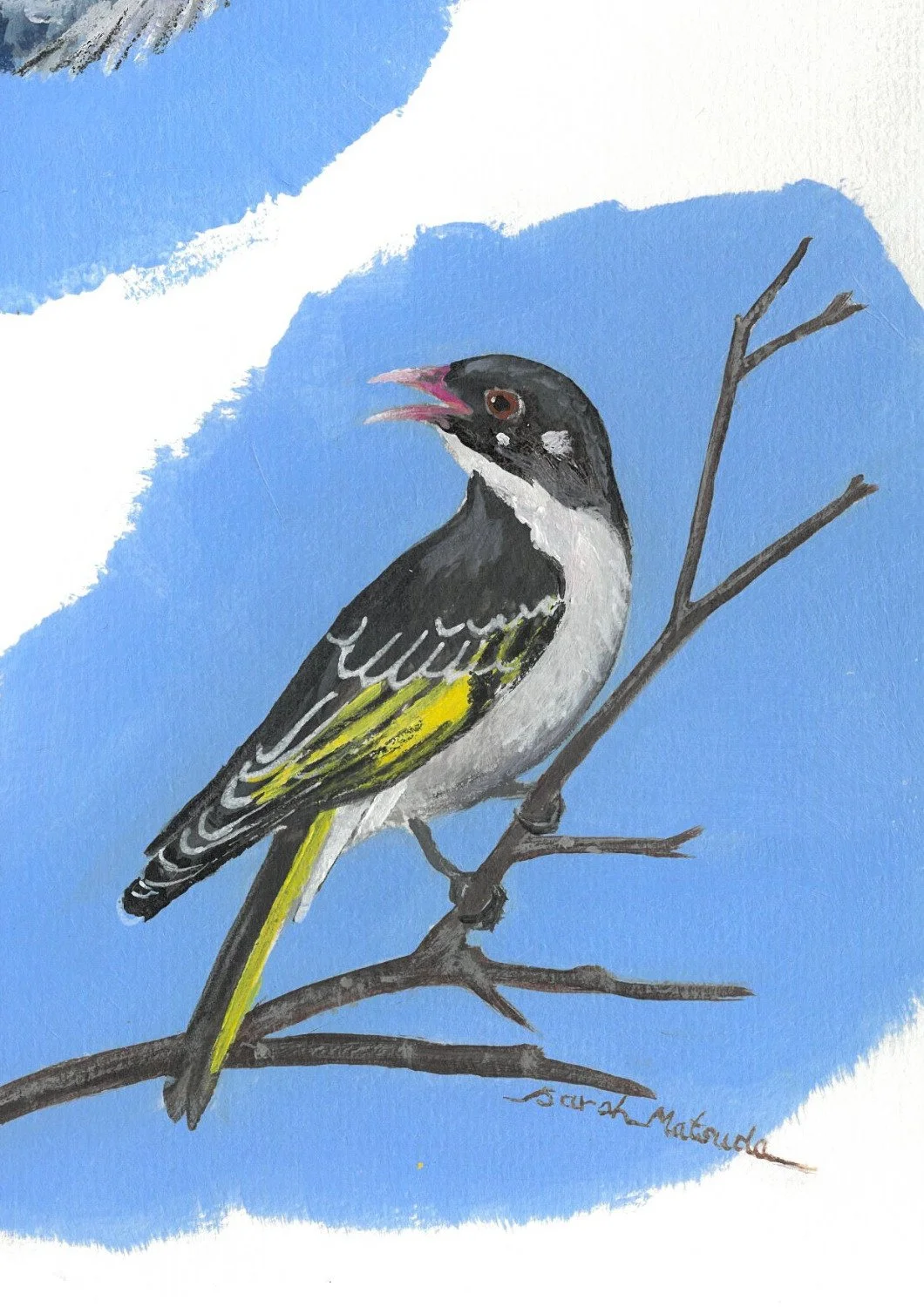 Detail of a Painted Honeyeater Bird with the artist's signature.