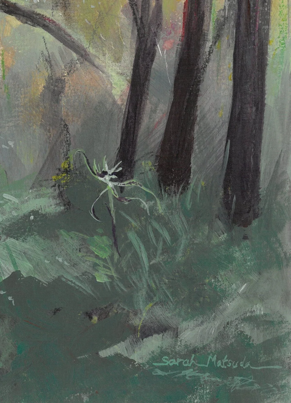 Close up detail of a painted Caladenia Tentaculata orchid and the artists signature Sarah Matsuda.