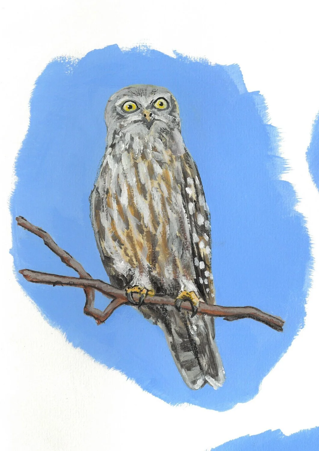 Painting detail of the Barking Owl against a blue background.