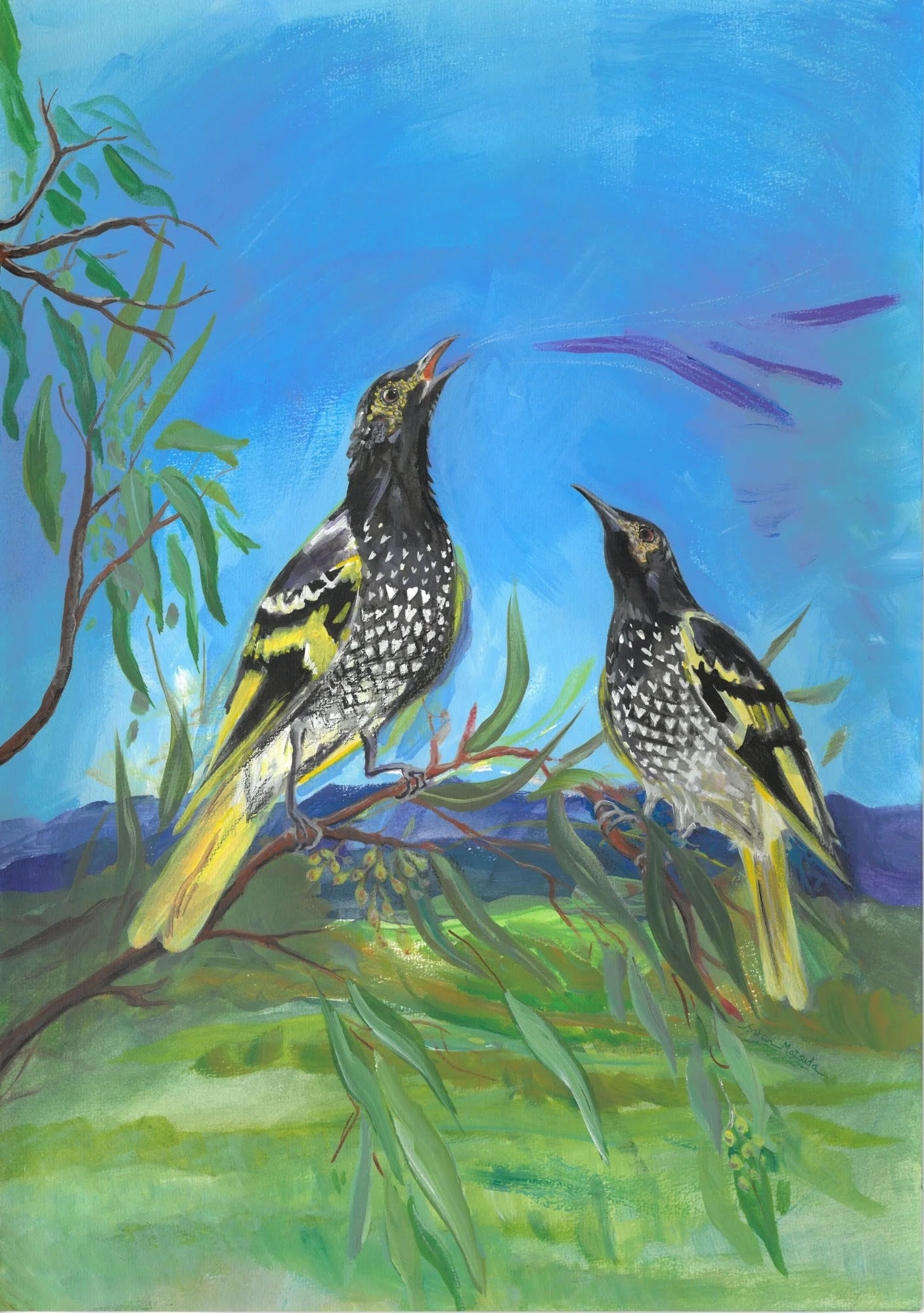 A painting of two Regent Honeyeater Birds on a Eucalyptus tree branch overlooking a view of mountains. The closer bird is singing with some purple dashes of colour symbolising music.