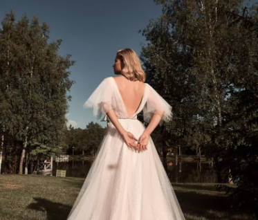 Sleeves, Open Back, Fabric: Tulle, Fabric: Minimalist