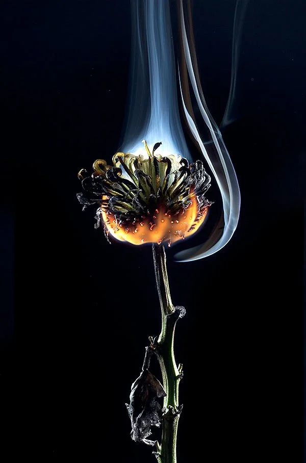 burning-flower.jpg