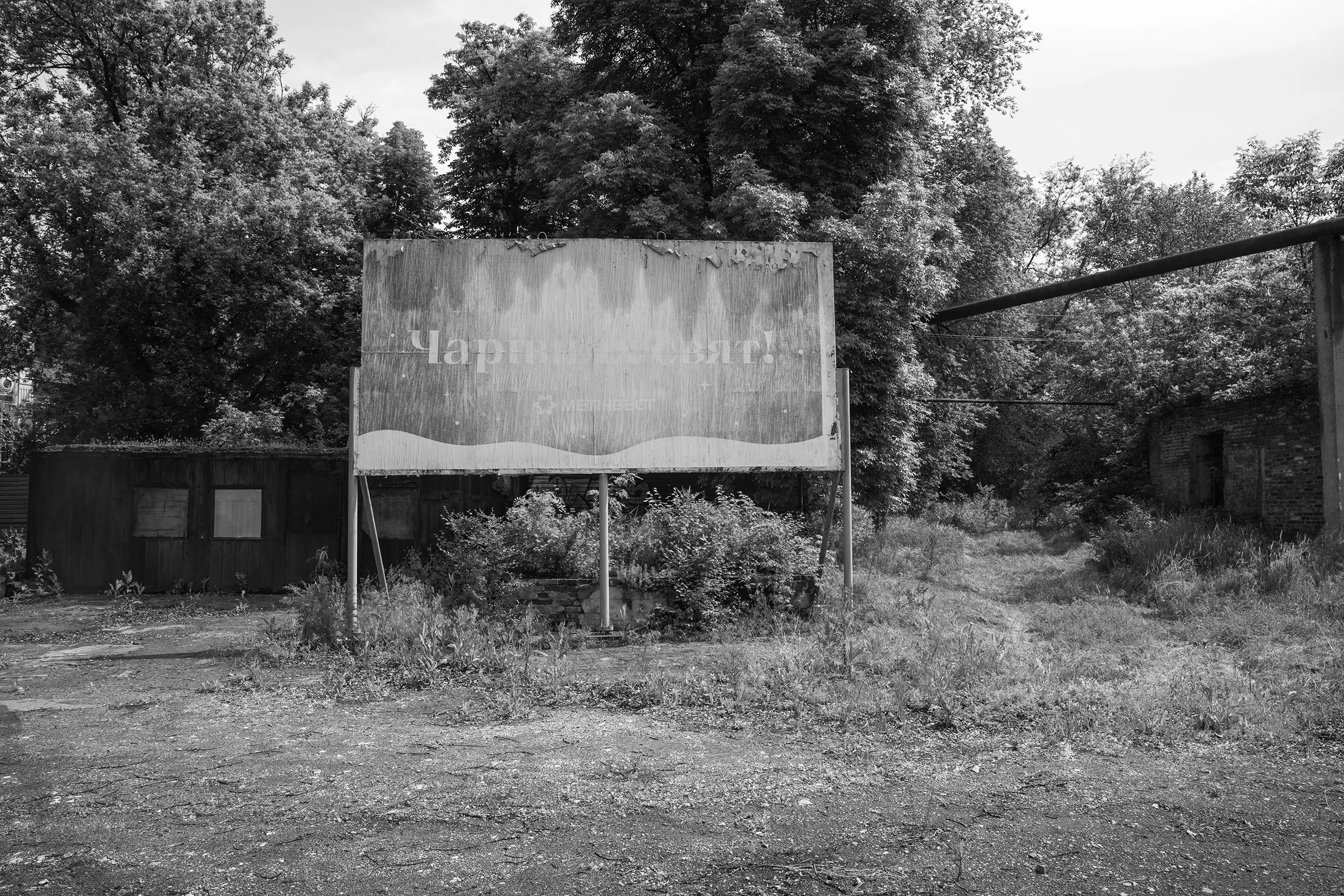 DSC05509 bn copia.jpg