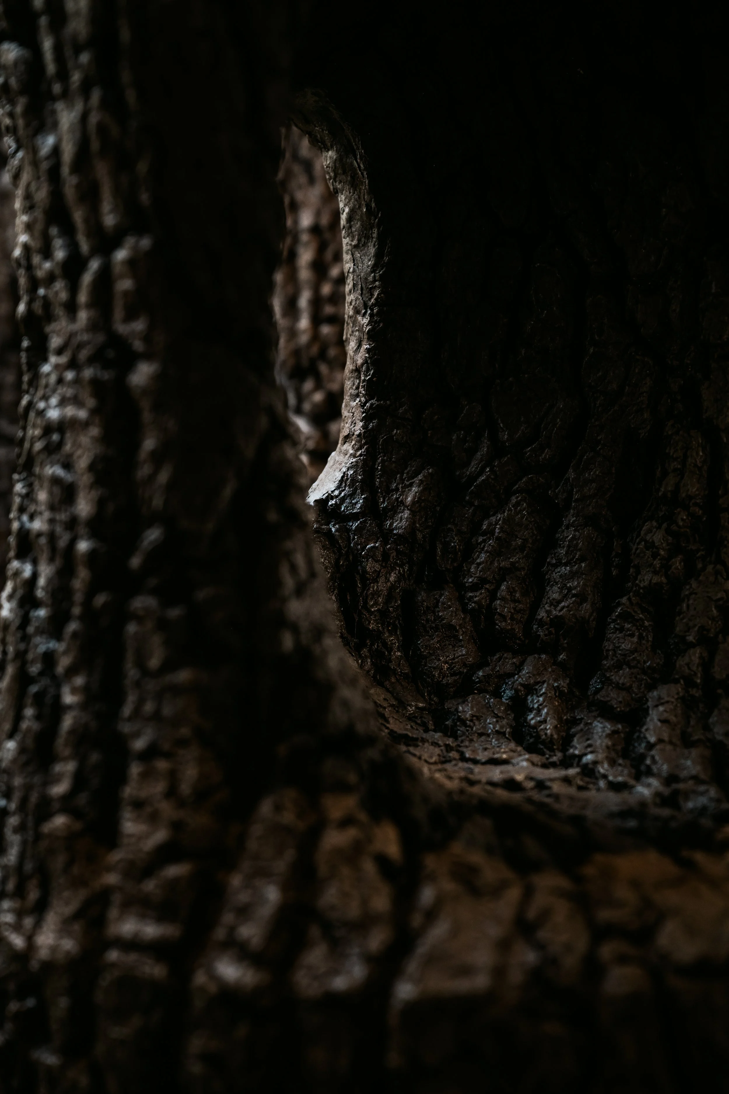 © Jean-Louis Carli