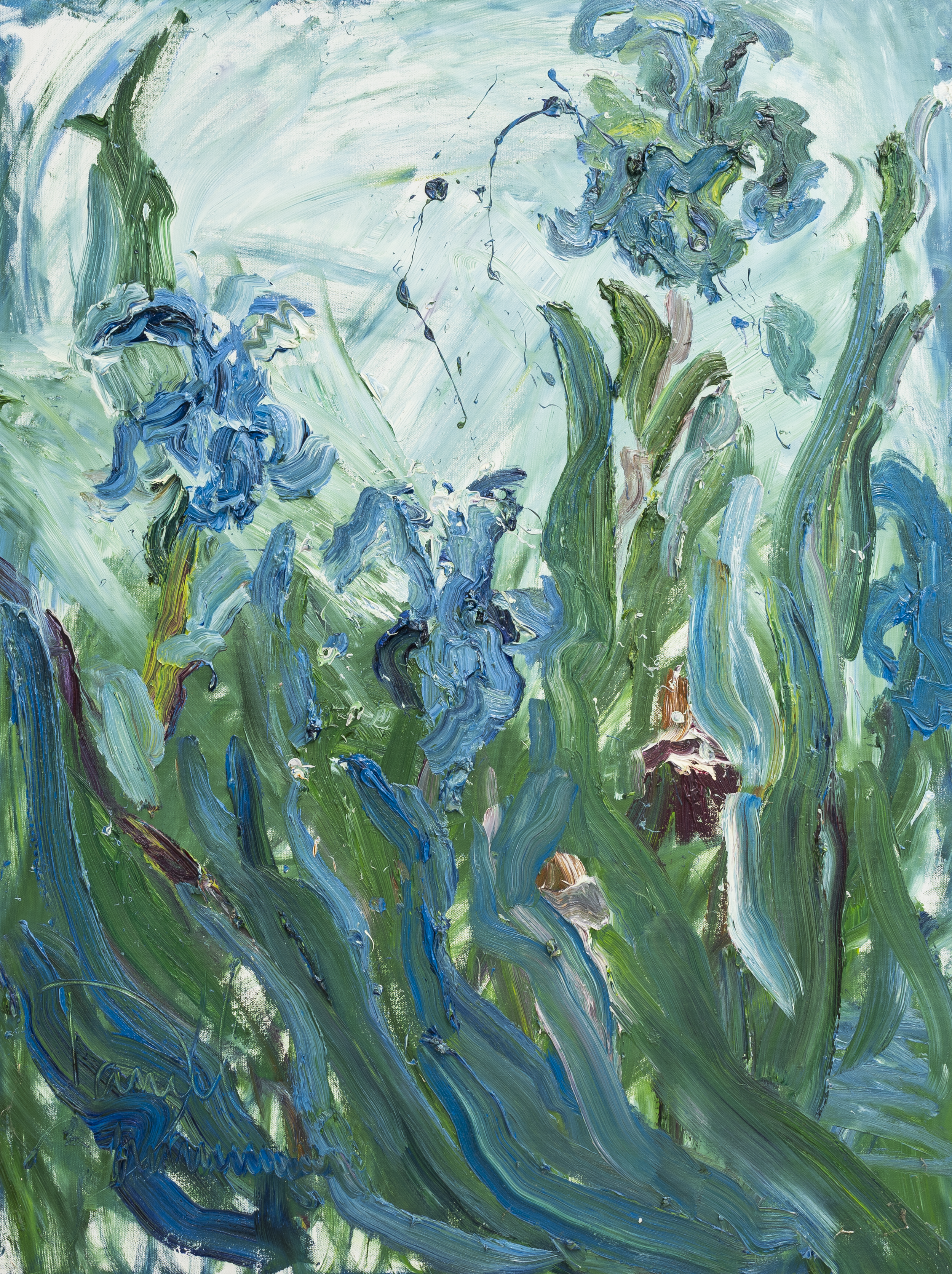 Blue Iris 1 Full.png