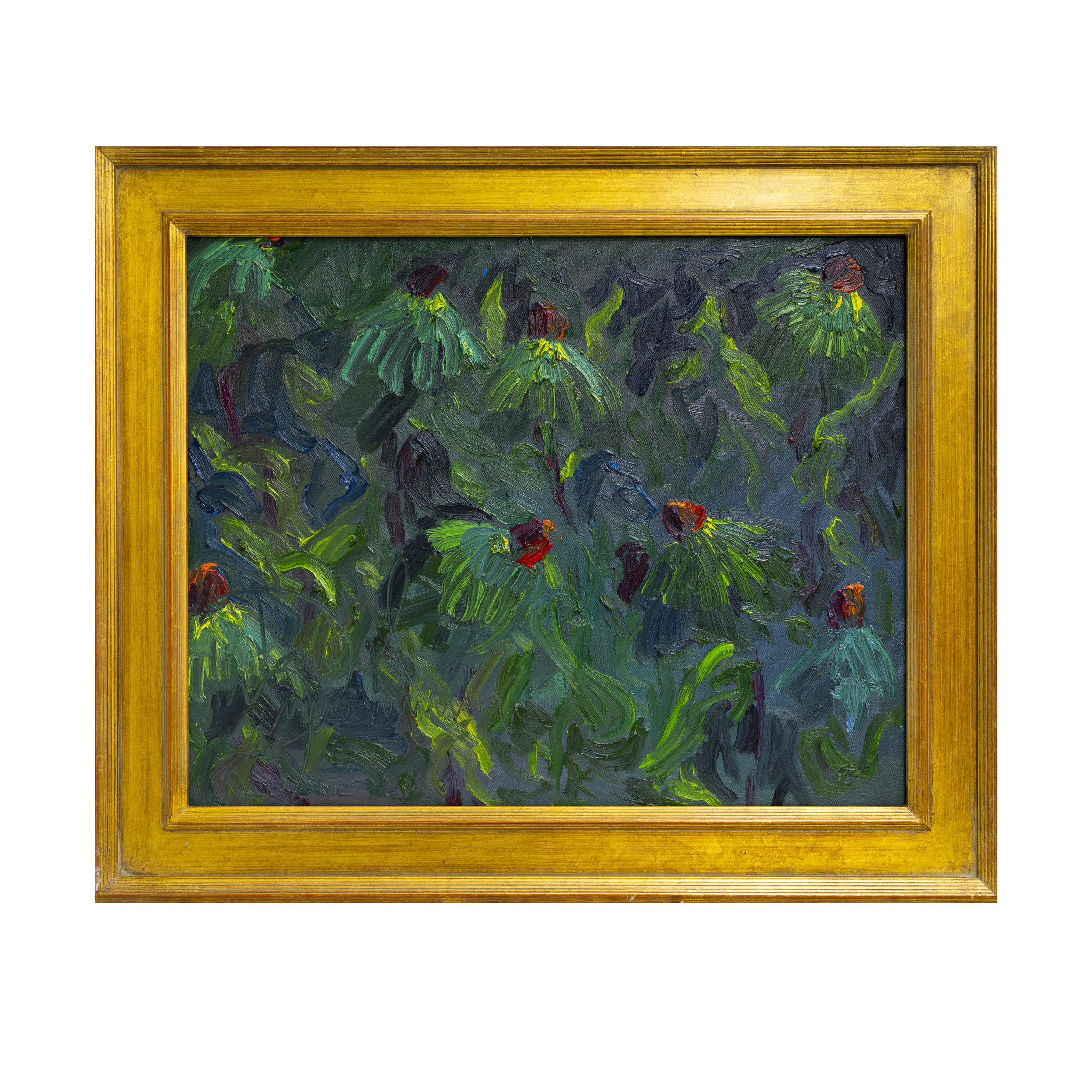 Daniel Zimmerman-214.png