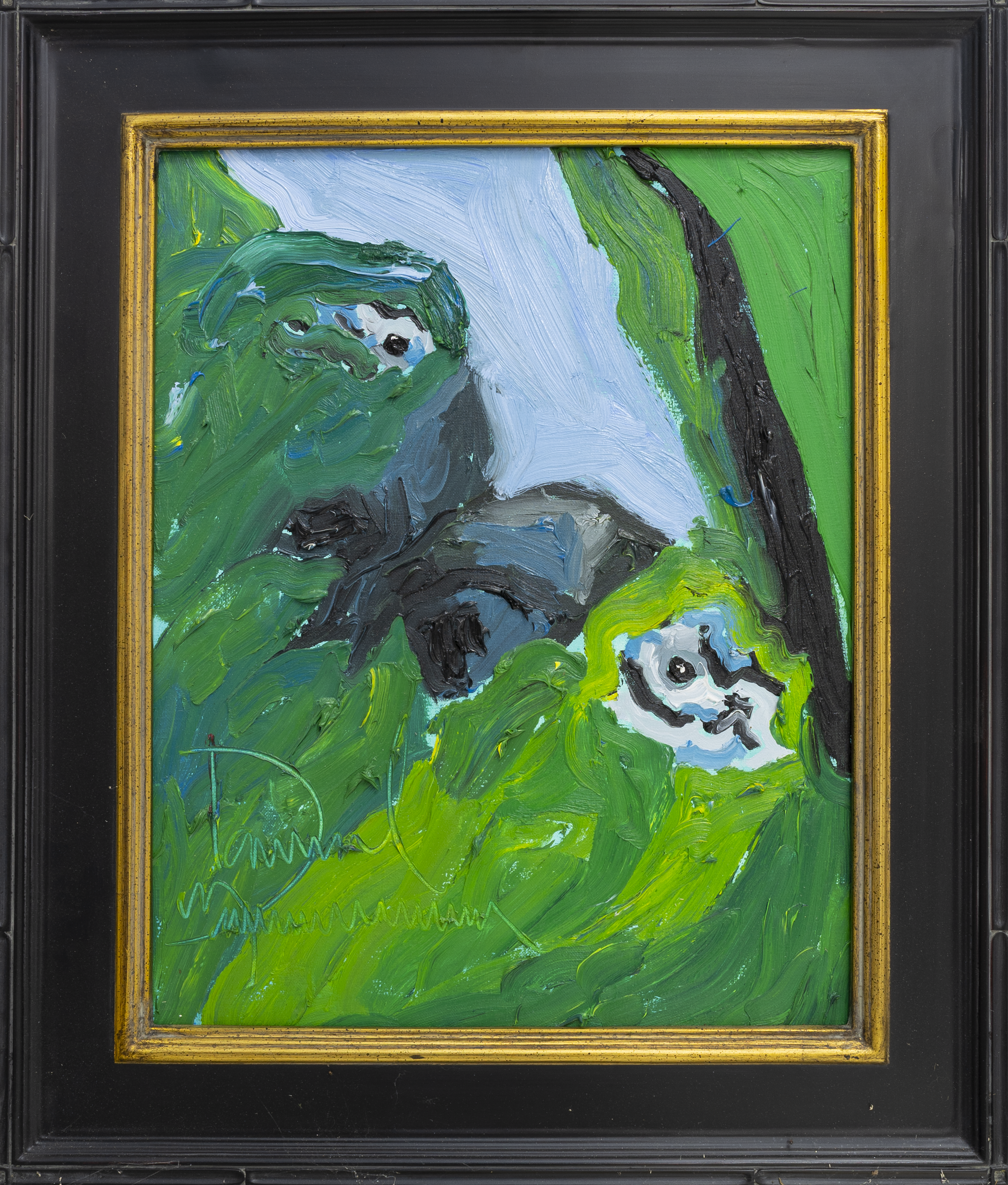 Daniel Zimmerman-239.png