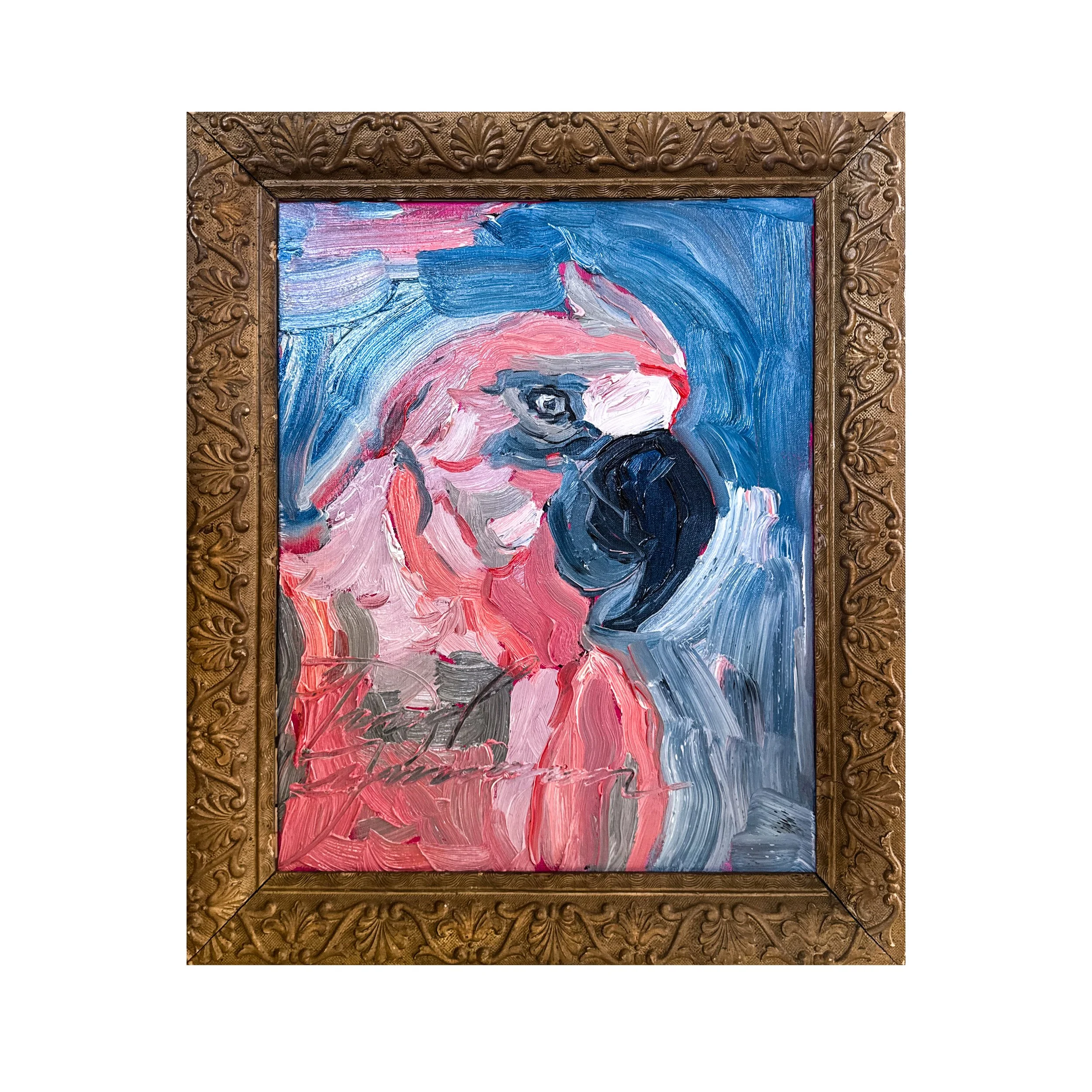 pink parrot-2.jpg