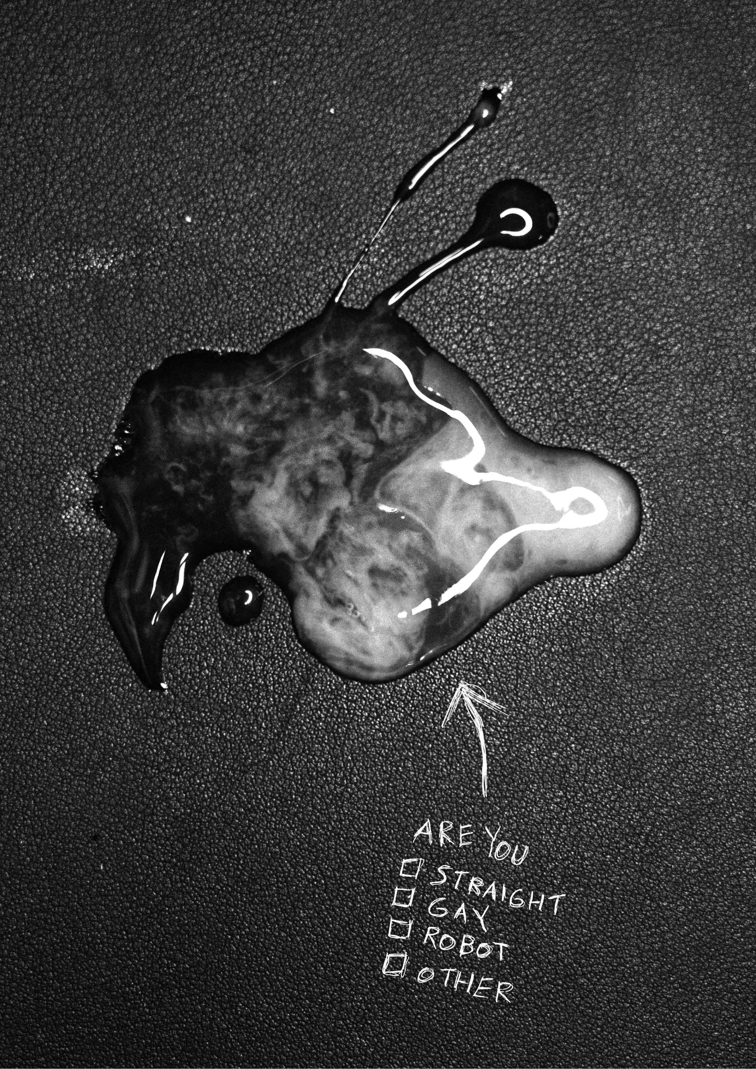 A spilled liquid resembling an unknown substance on a textured surface with a handwritten checklist asking, "Are you", with options "straight, gay, robot, other".