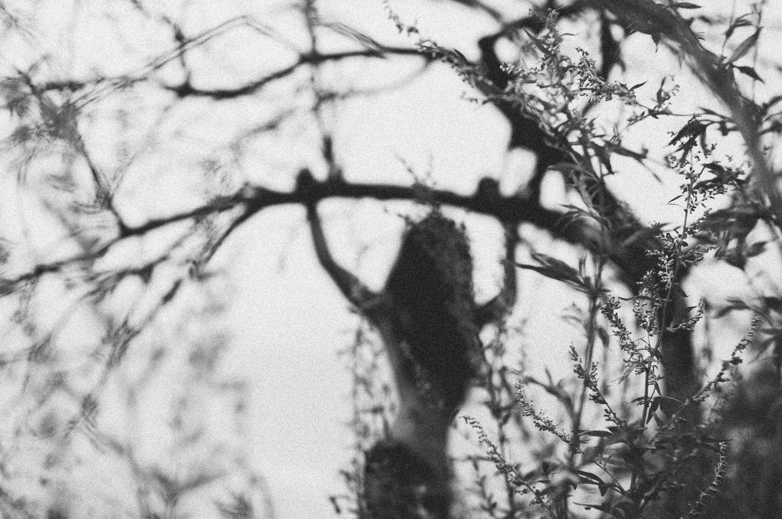 The Unseen Systems Shaping Your Nervous System