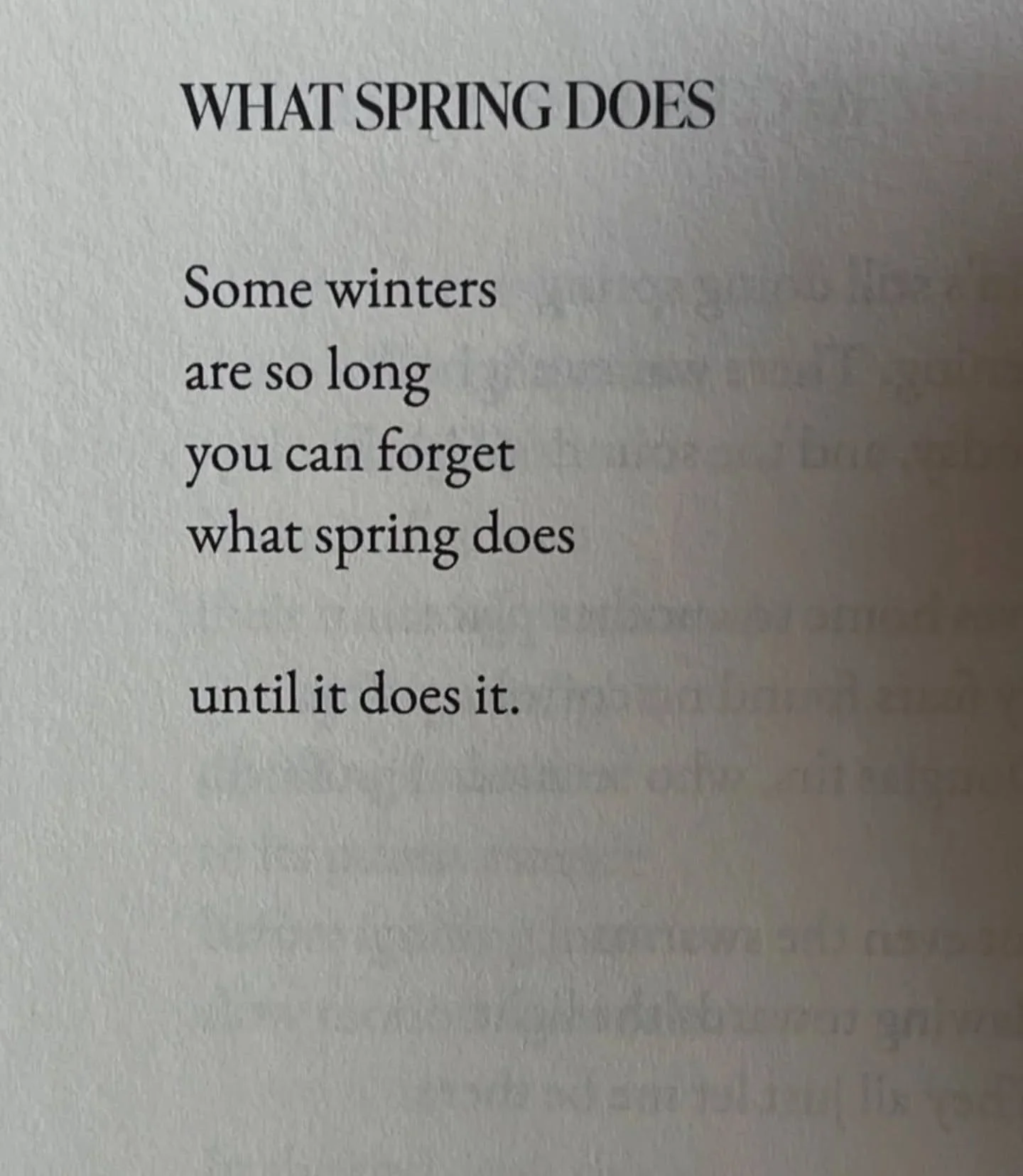 There's something about the arrival of spring, which for me, feels like an act of recognition. A remembering. A portal to reconnect me with the parts of me that over winter, I'd forgotten about.

My shoulders soften a little, my senses wake up, and I