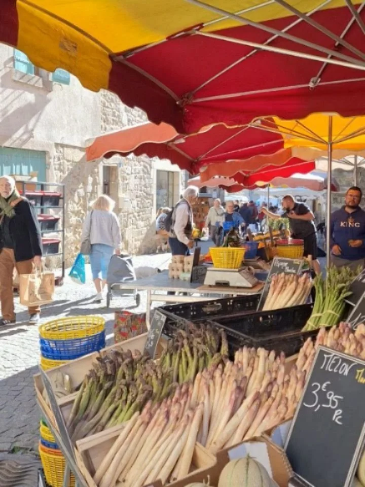 Accidently turned April into a two week birthday, anniversary, spring celebration* 

Don't regret it 🤍

Weekly group classes resume Monday 
(&amp; it's my first day working on the farm 👩🏼&zwj;🌾):

~ Weekly Shake the Dust - Tues 1930, Bristol.

~ 