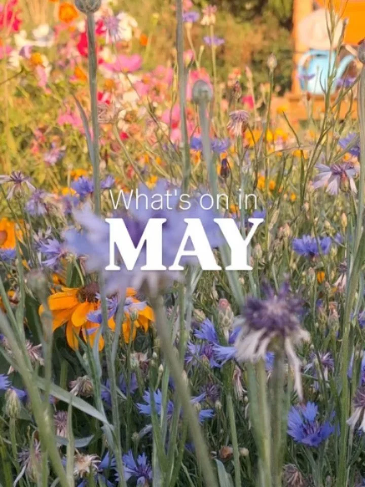 May ~ the height of spring 
A threshold into summer. 
Full of energy and slightly exhausting (perhaps)

There are lots of lovely offerings this month to support the more external &amp; outward phase of the seasons.

For me, May offers an opportunity 