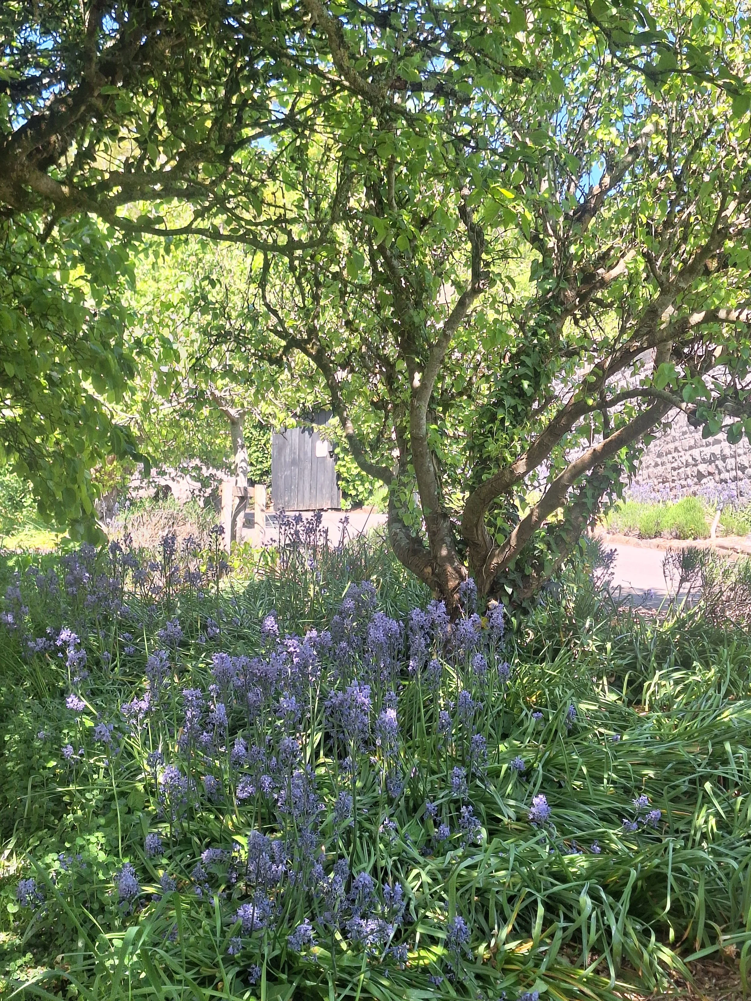 Beltane