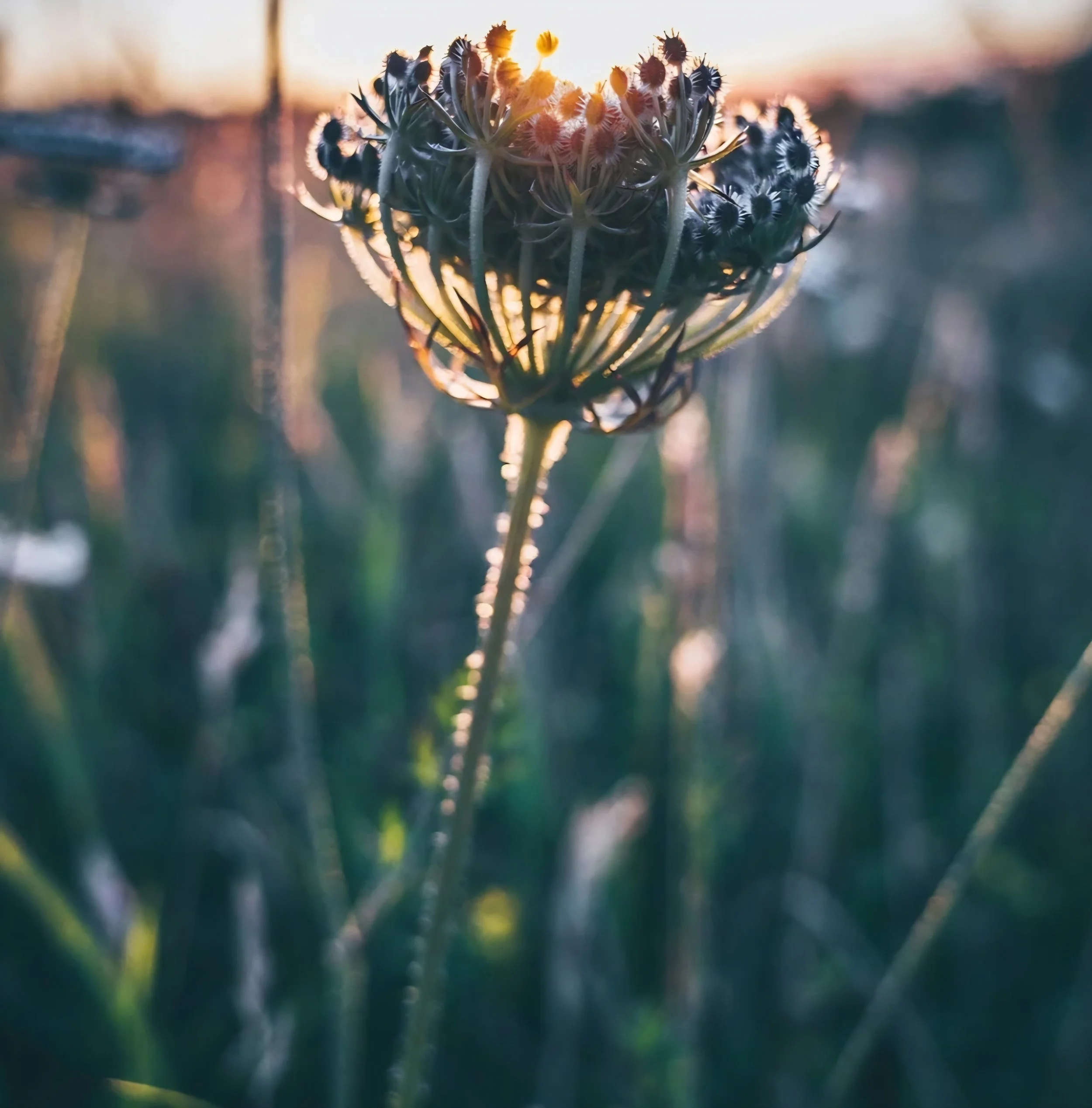 The Art of Noticing